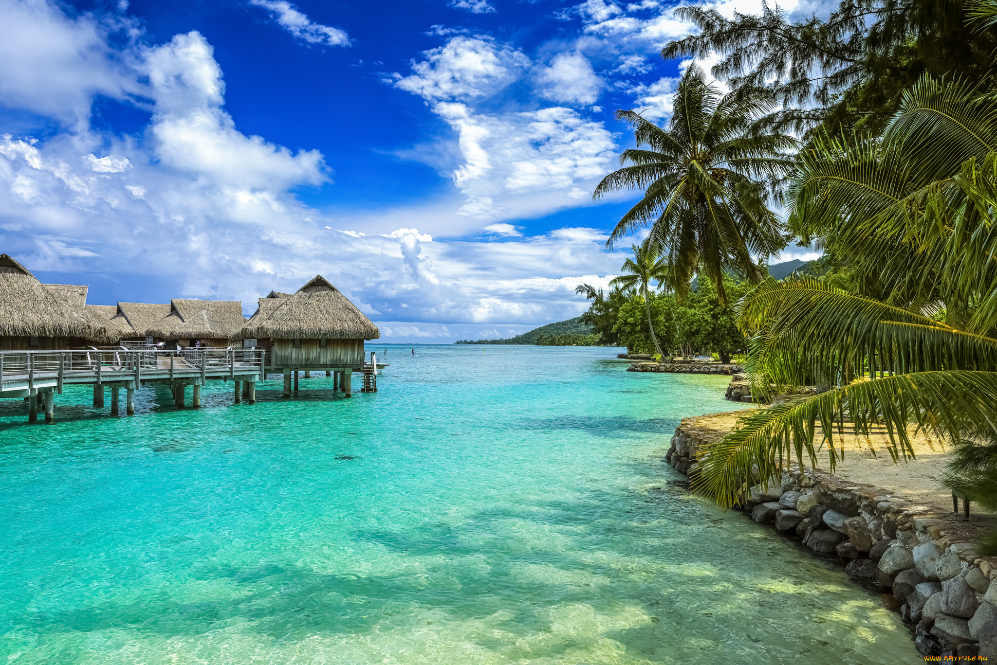 moorea, , french, polynesia, природа, тропики, бунгало, острова, океан