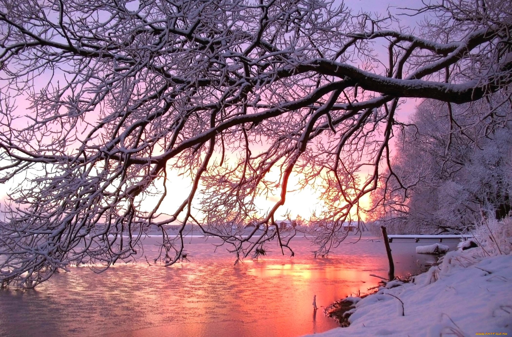 природа, зима, река, закат, дерево, снег