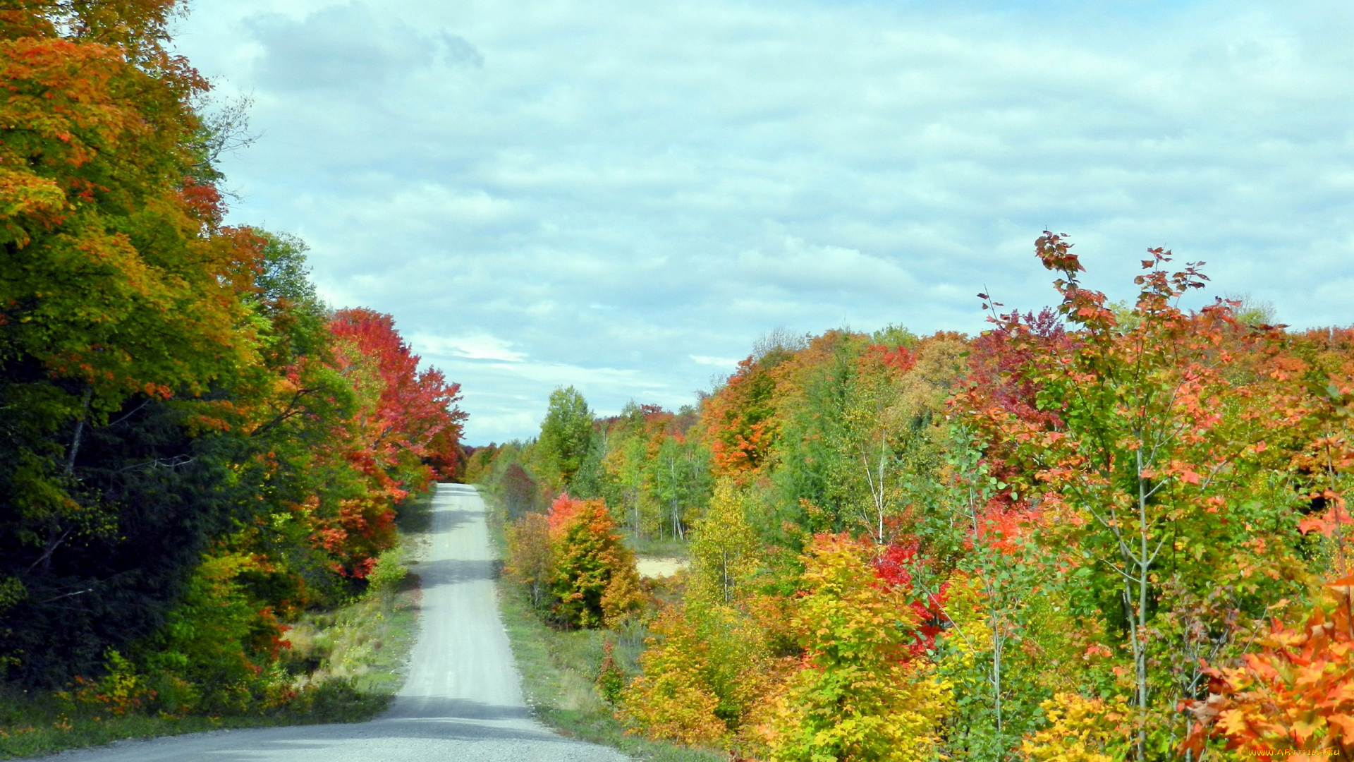 природа, дороги, осень, деревья