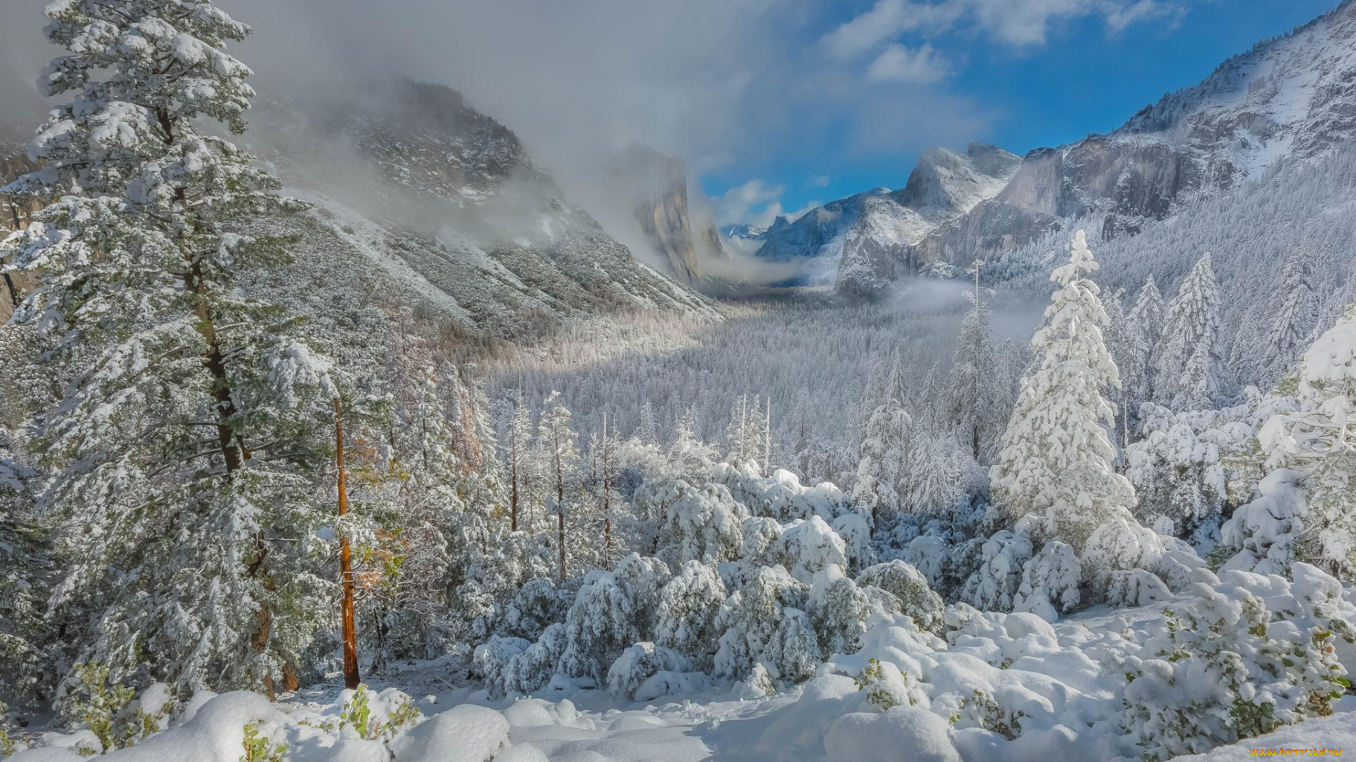 природа, горы, деревья, снег