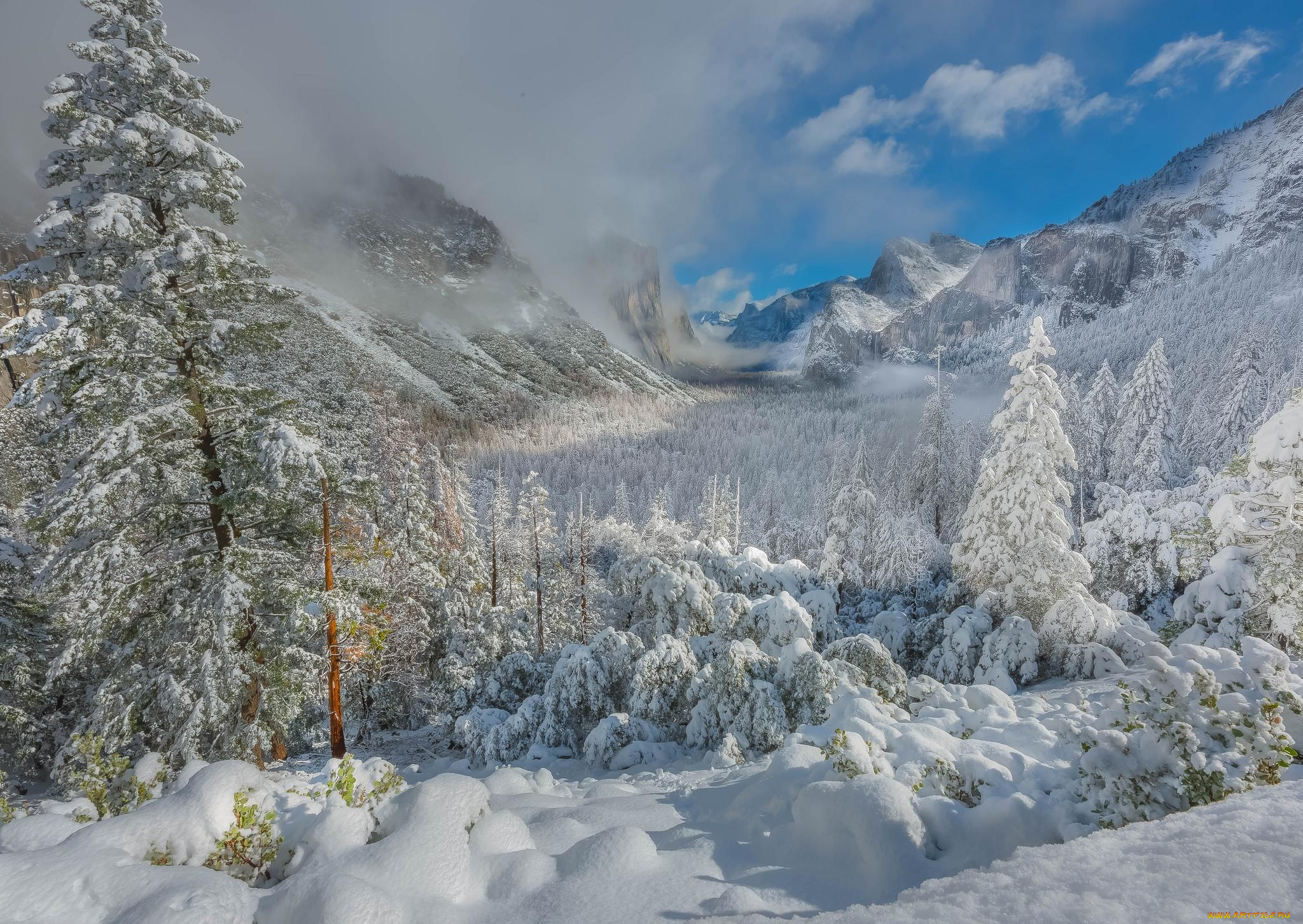 природа, горы, деревья, снег