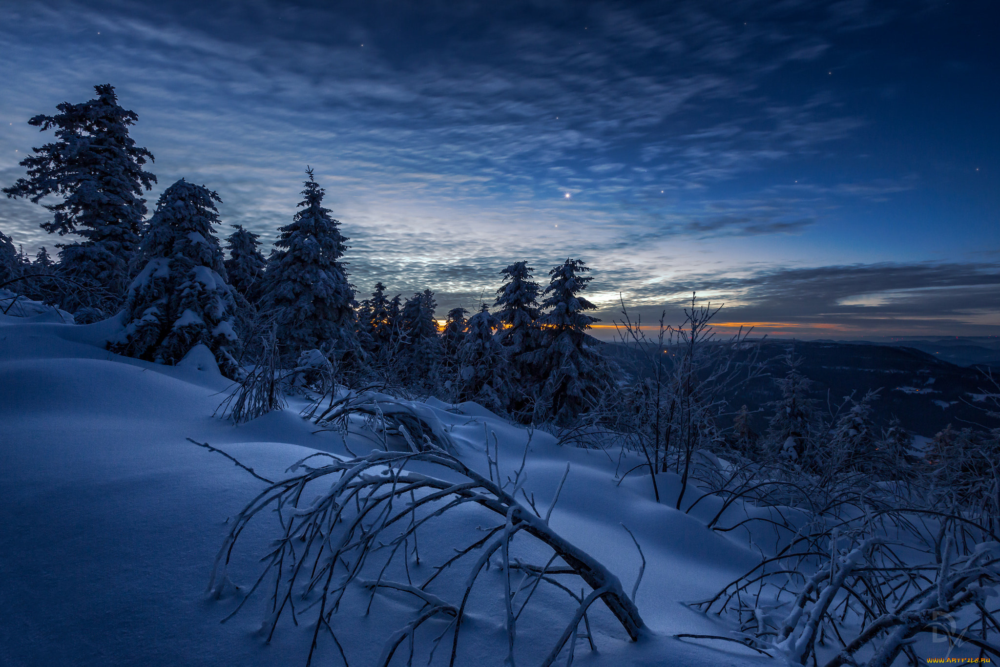 природа, зима, снег, деревья, ночь, облака