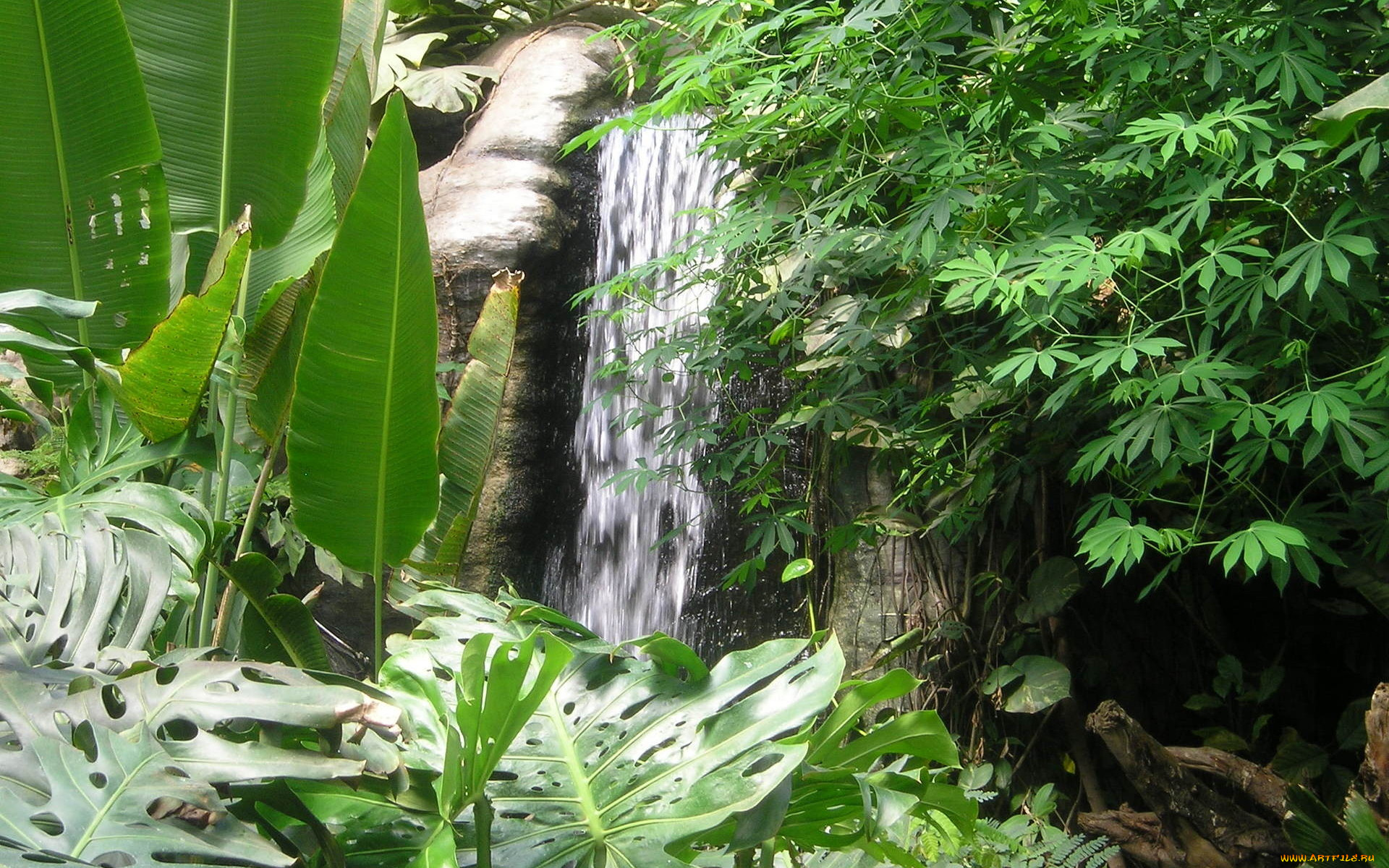 природа, водопады, зелень, водопад, листья