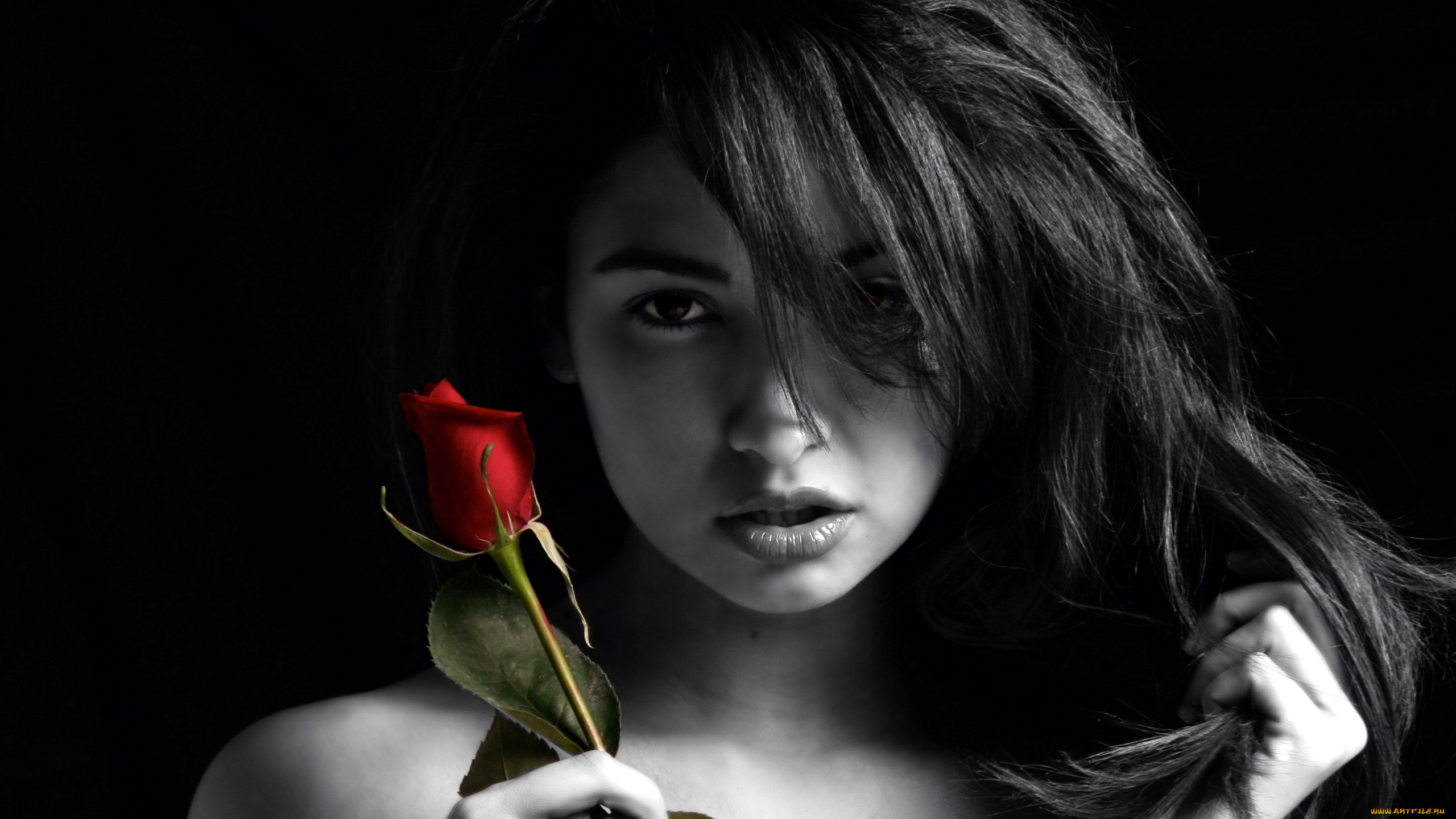 Девушка с розами бесплатно