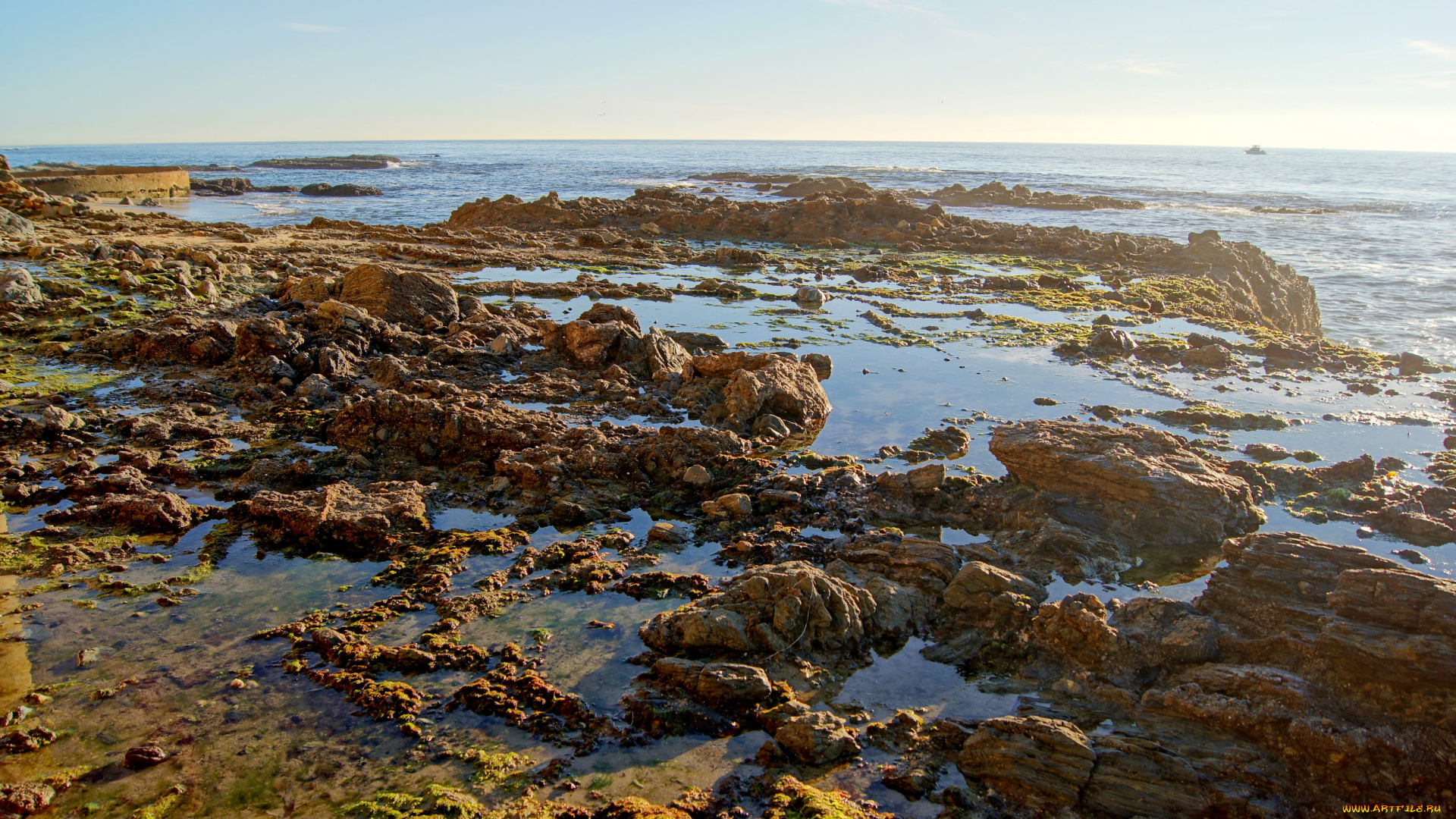 california, malibu, природа, побережье