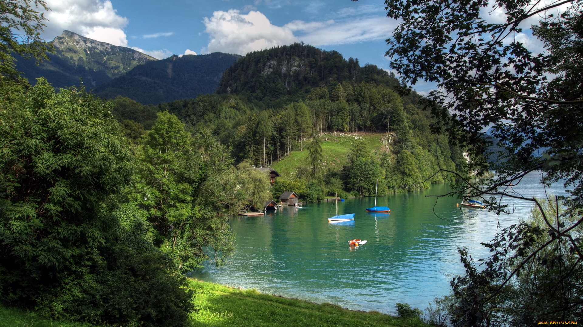 lake, wolfgangsee, austria, природа, реки, озера, озеро, лес