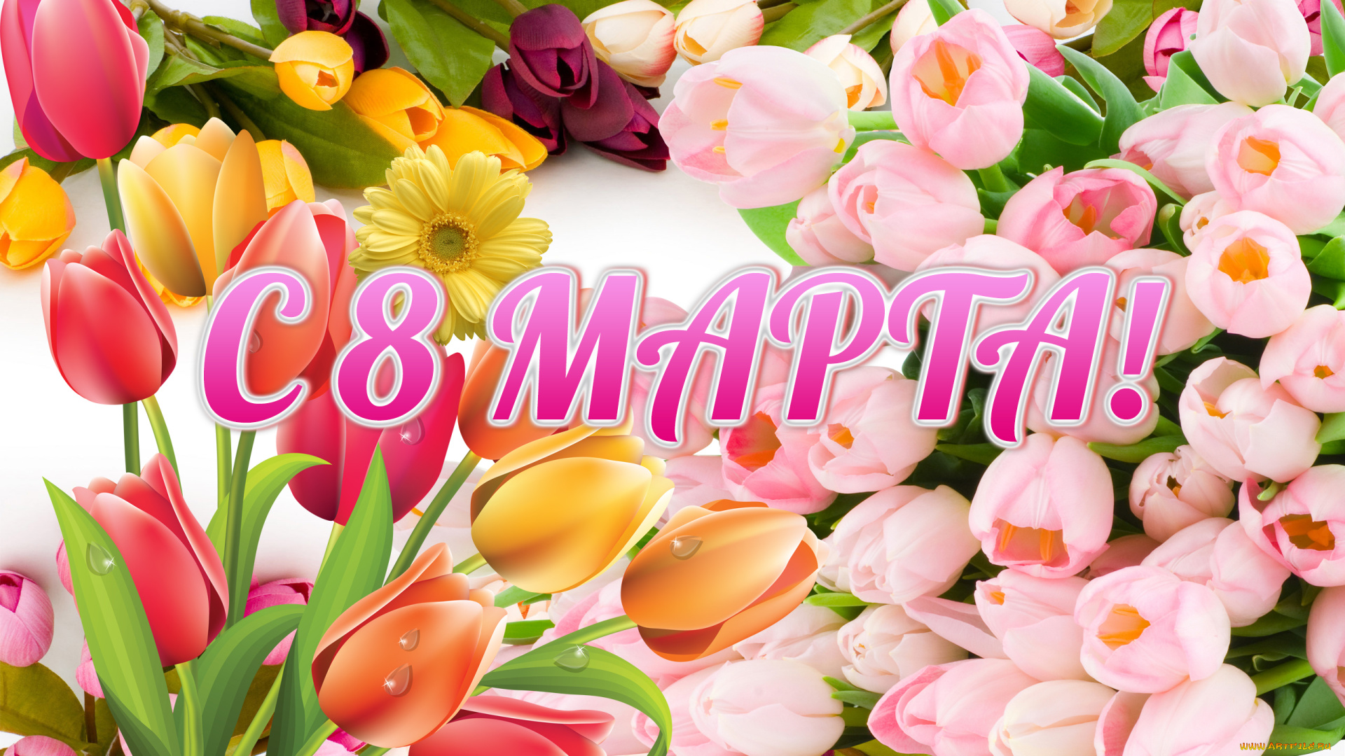 праздничные, международный, женский, день, тюльпаны, 8, марта