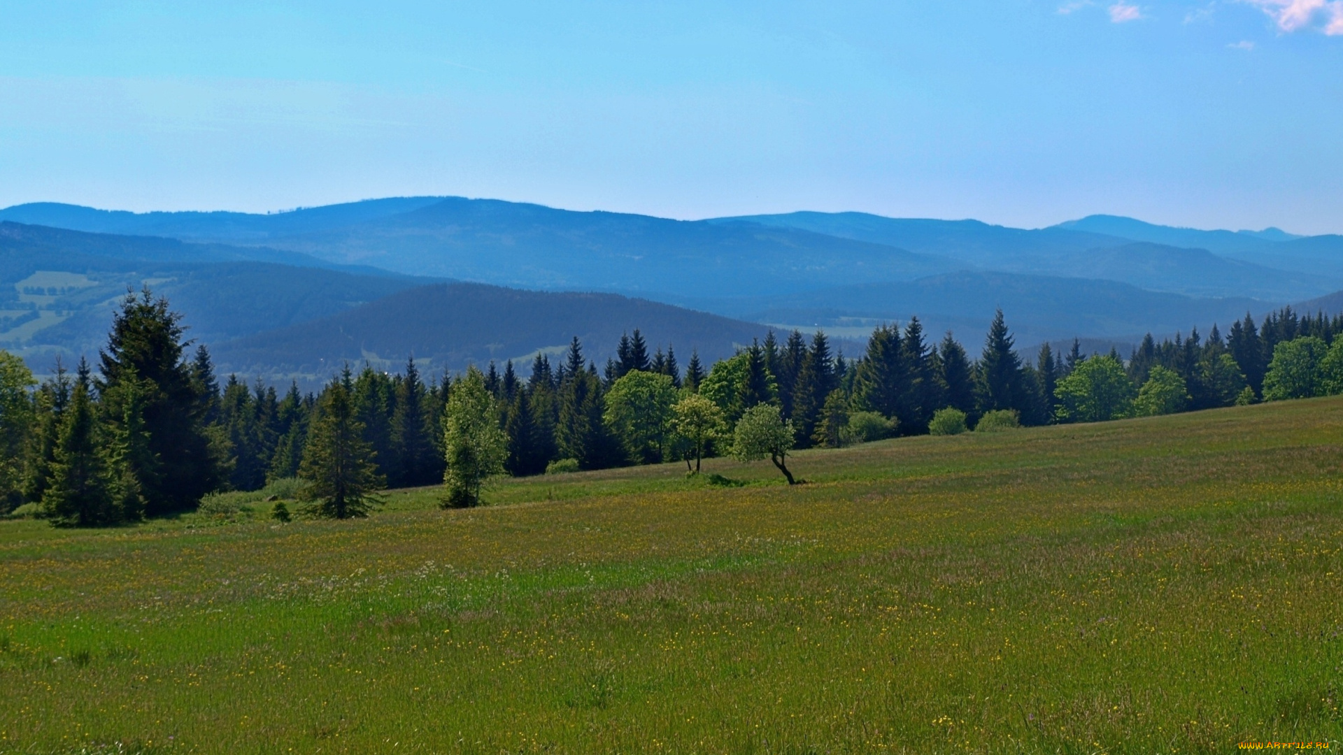 природа, поля, narodni, park, sumava, шумава, богемия, Чехия, полонина, лес, горы