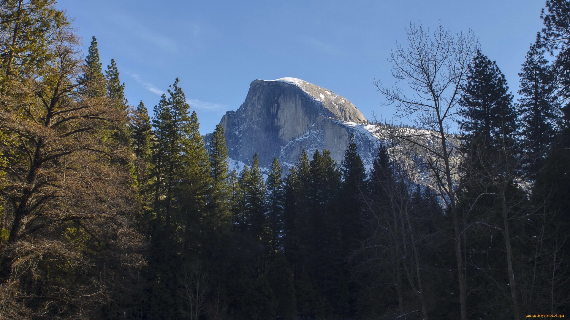 yosemite, national, park, природа, горы, лес