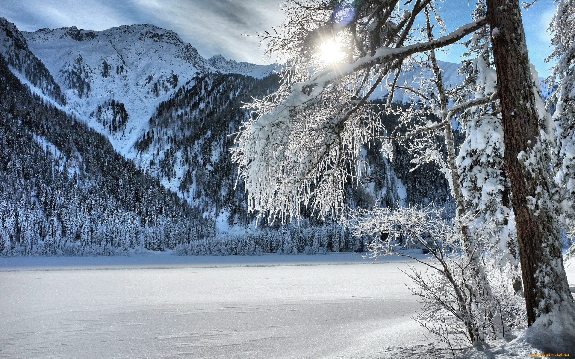 природа, зима, деревья, горы, снег