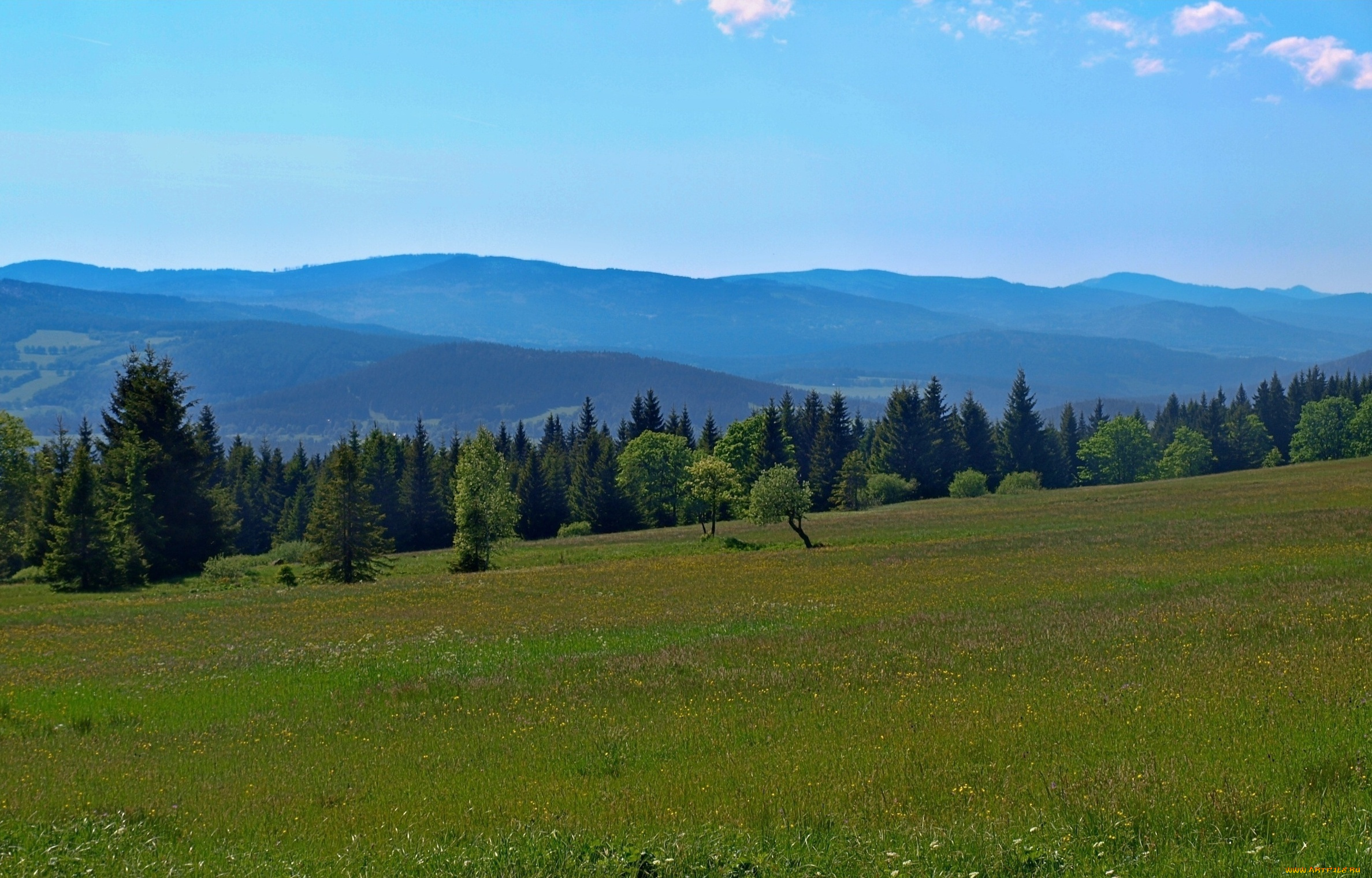 природа, поля, narodni, park, sumava, шумава, богемия, Чехия, полонина, лес, горы