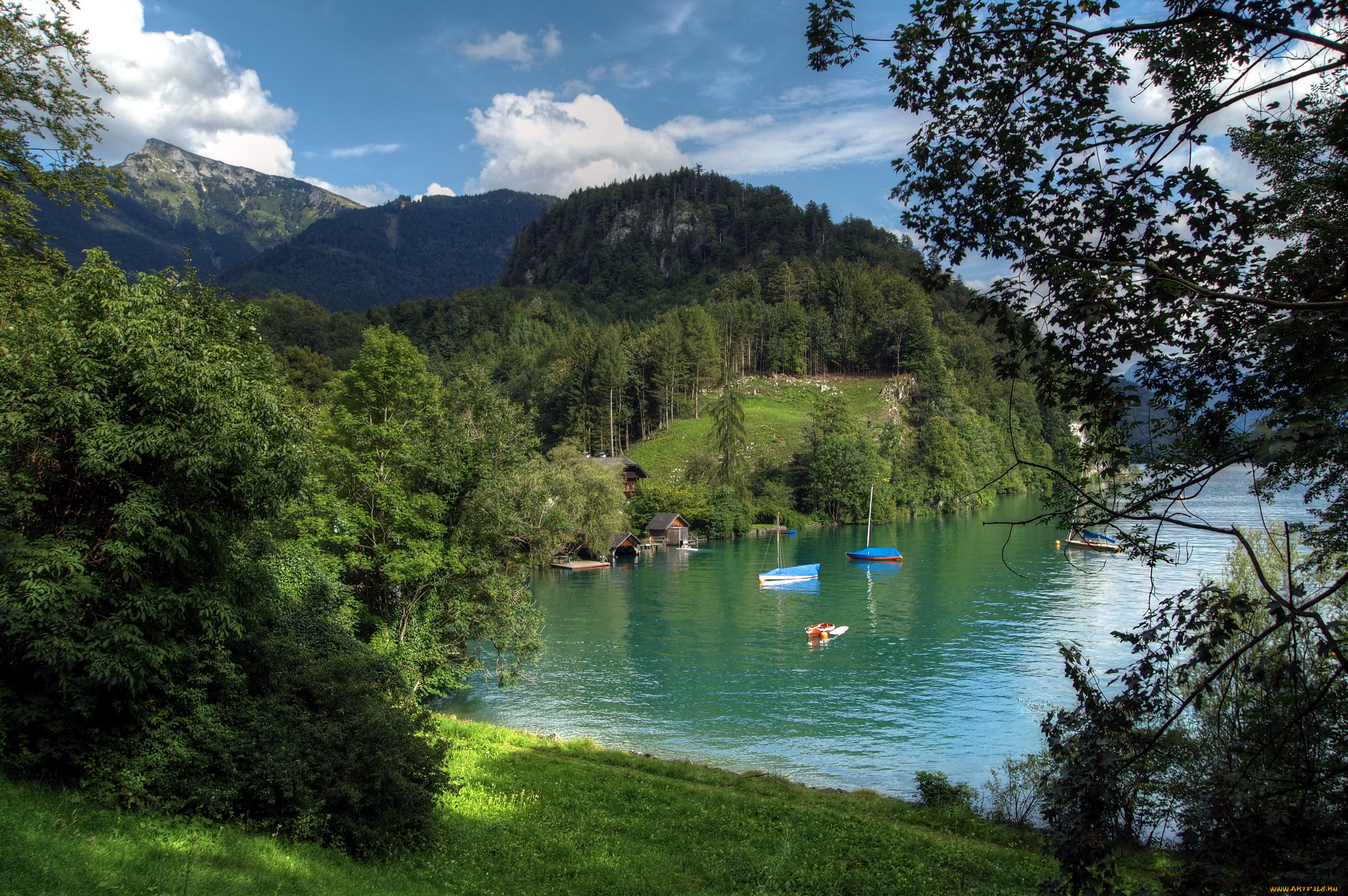 lake, wolfgangsee, austria, природа, реки, озера, озеро, лес