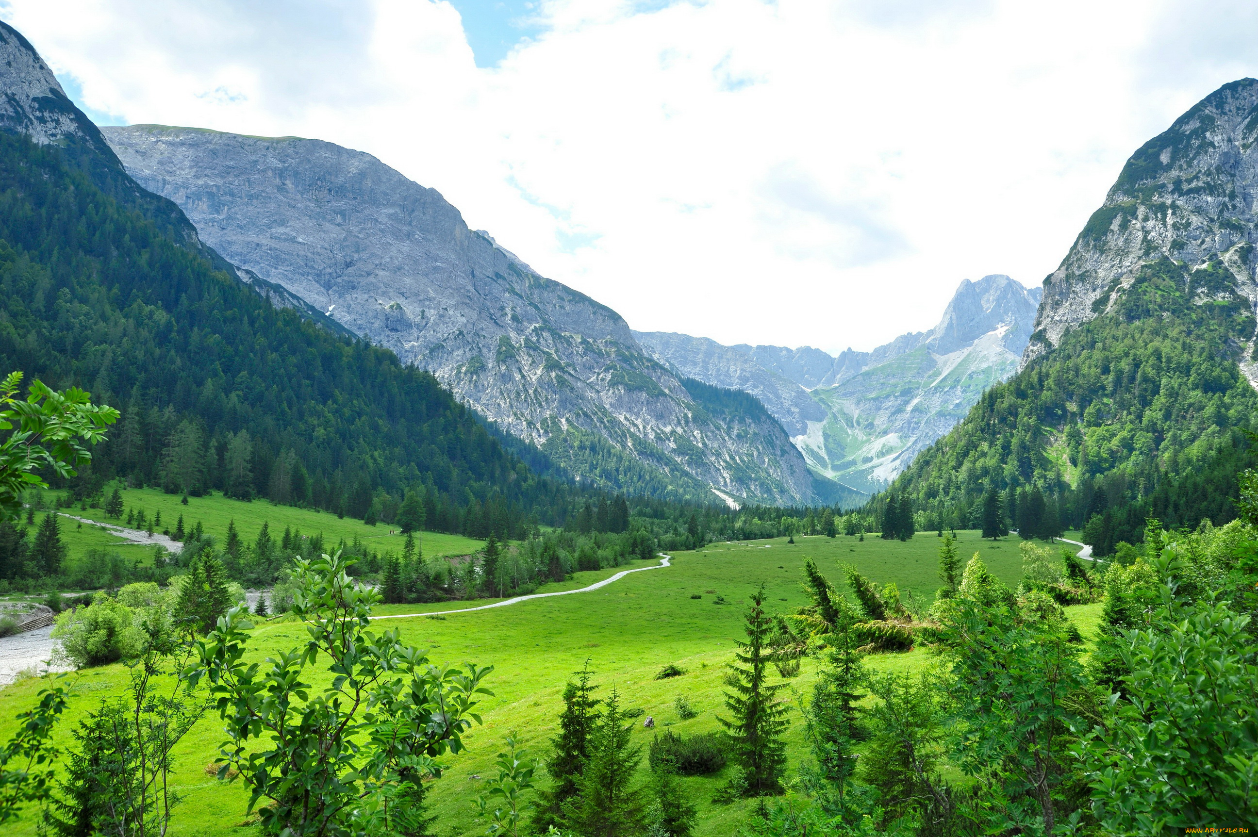 австрия, тироль, природа, горы, трава, плато