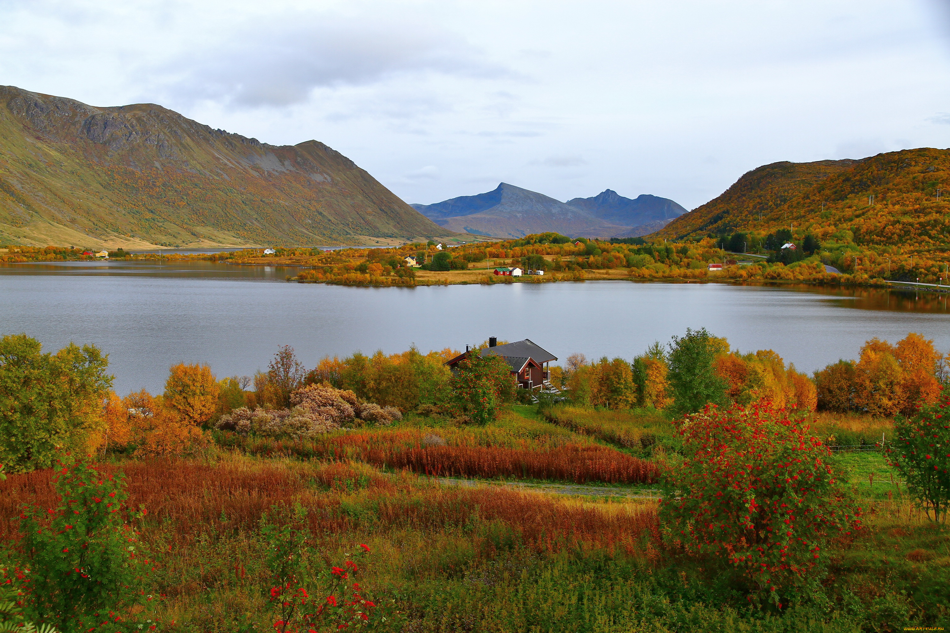 норвегия, лофотенские, острова, фьорд, steirapollen, природа, реки, озера, пейзаж