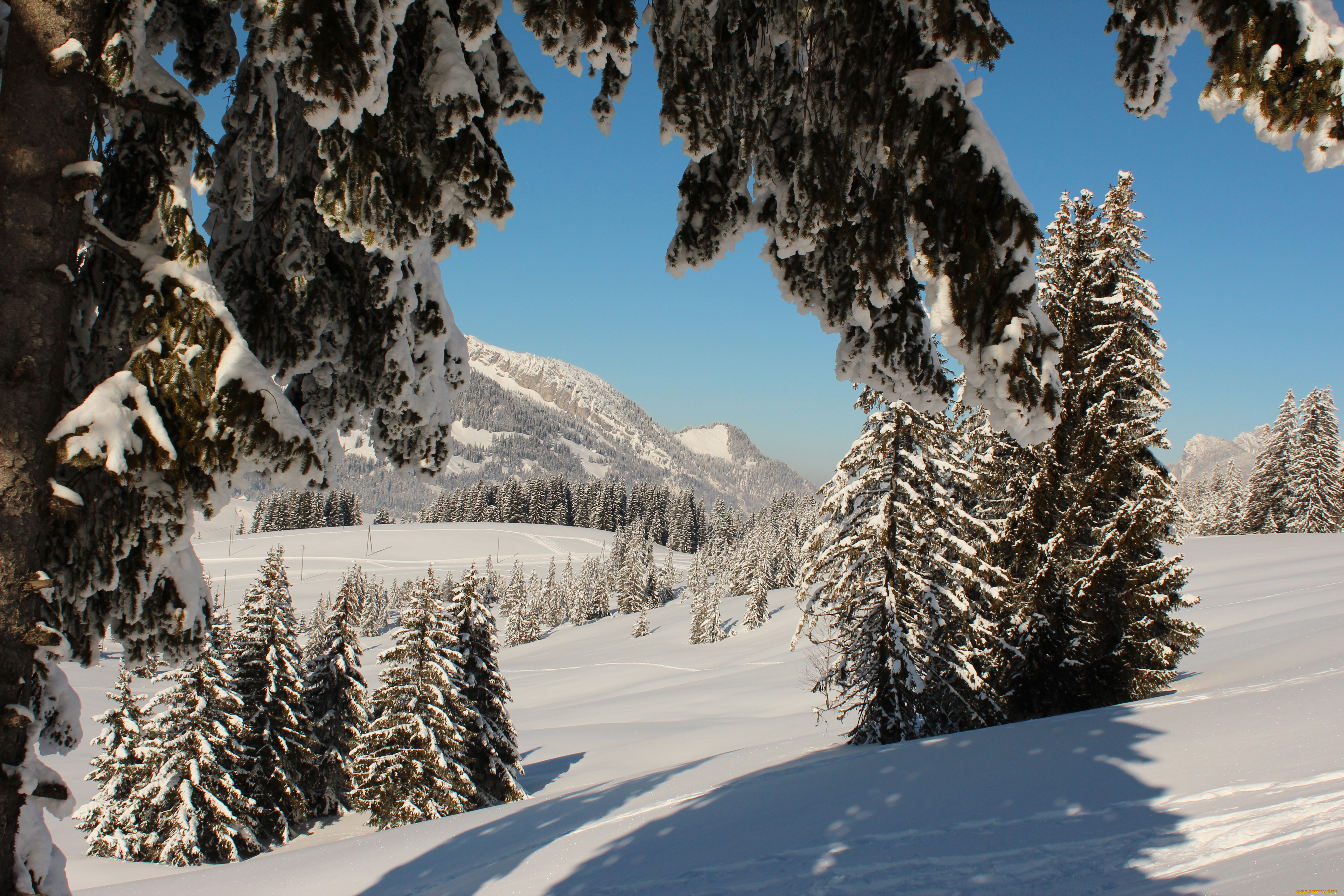швейцария, люцерн, флюли, природа, зима, снег, горы