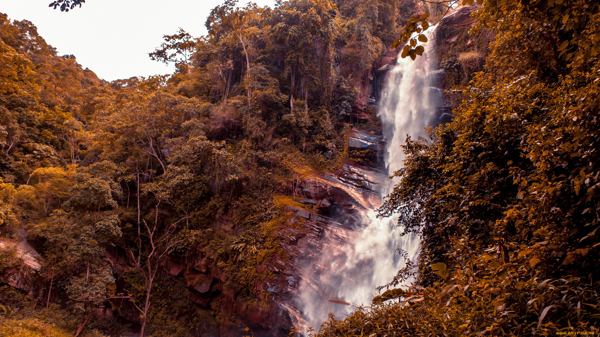природа, водопады, джунгли, скалы, обрыв, водопад
