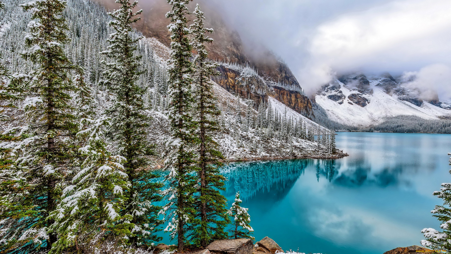 moraine, lake, канада, природа, зима, горы, озеро, lake, moraine, ели, парк, банф