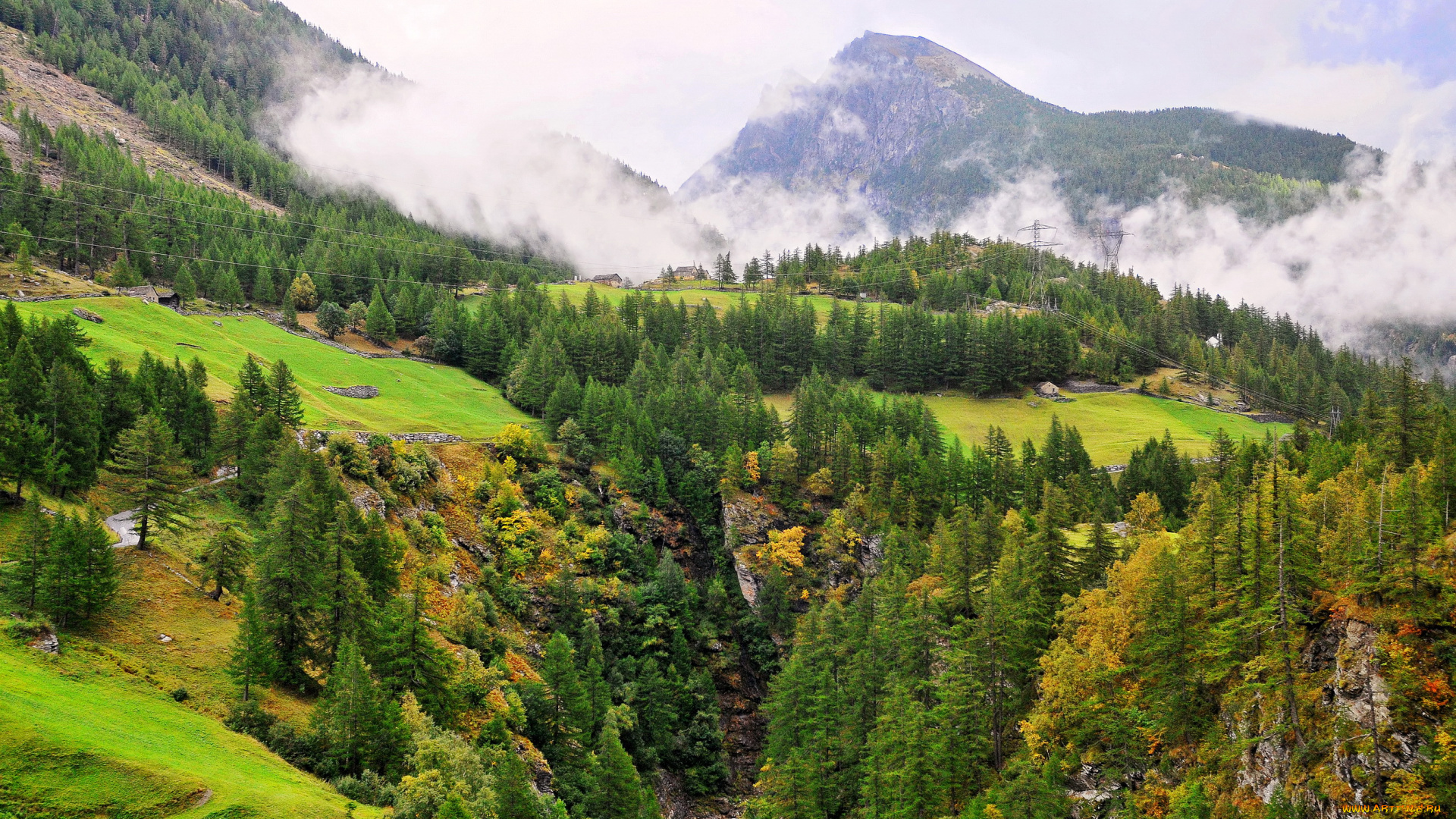 природа, пейзажи, трава, пейзаж, деревья, горы, швейцария