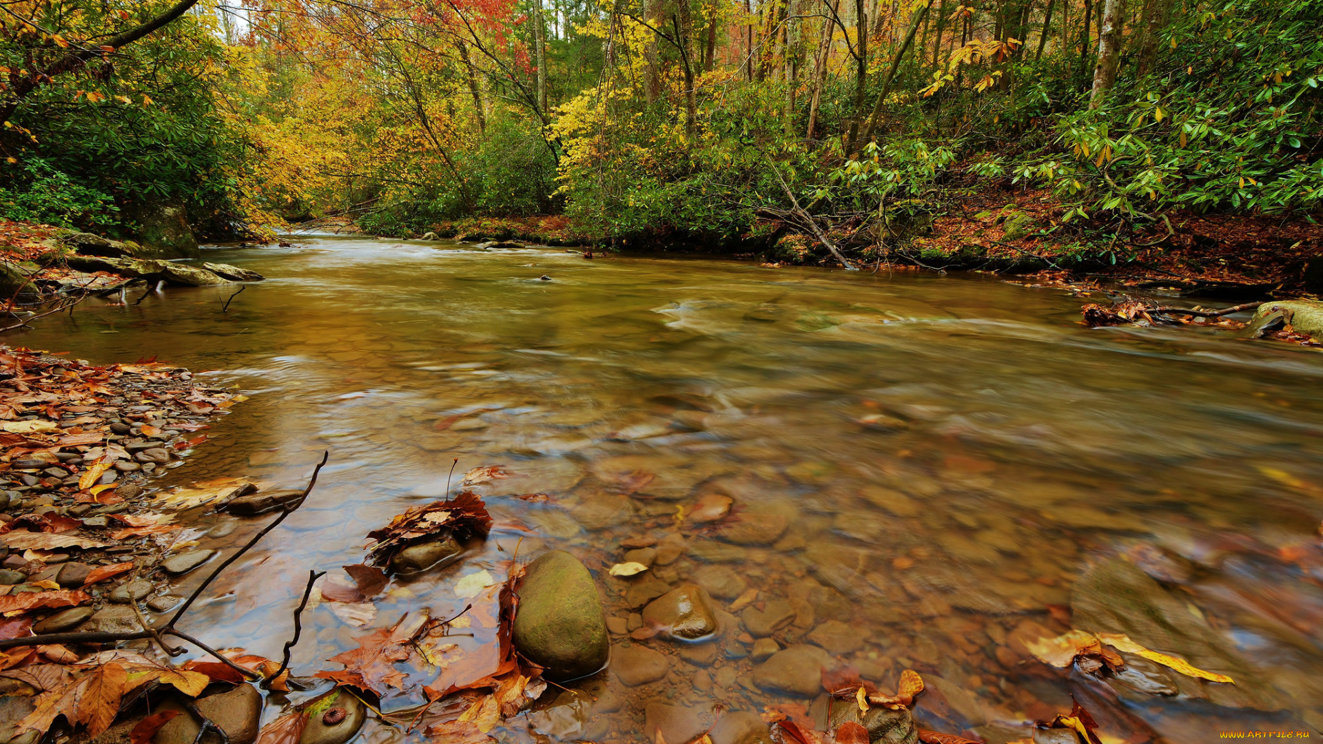 природа, радуга, autumn, leaves, water, stream, waterfall, осень, листья, вода, поток