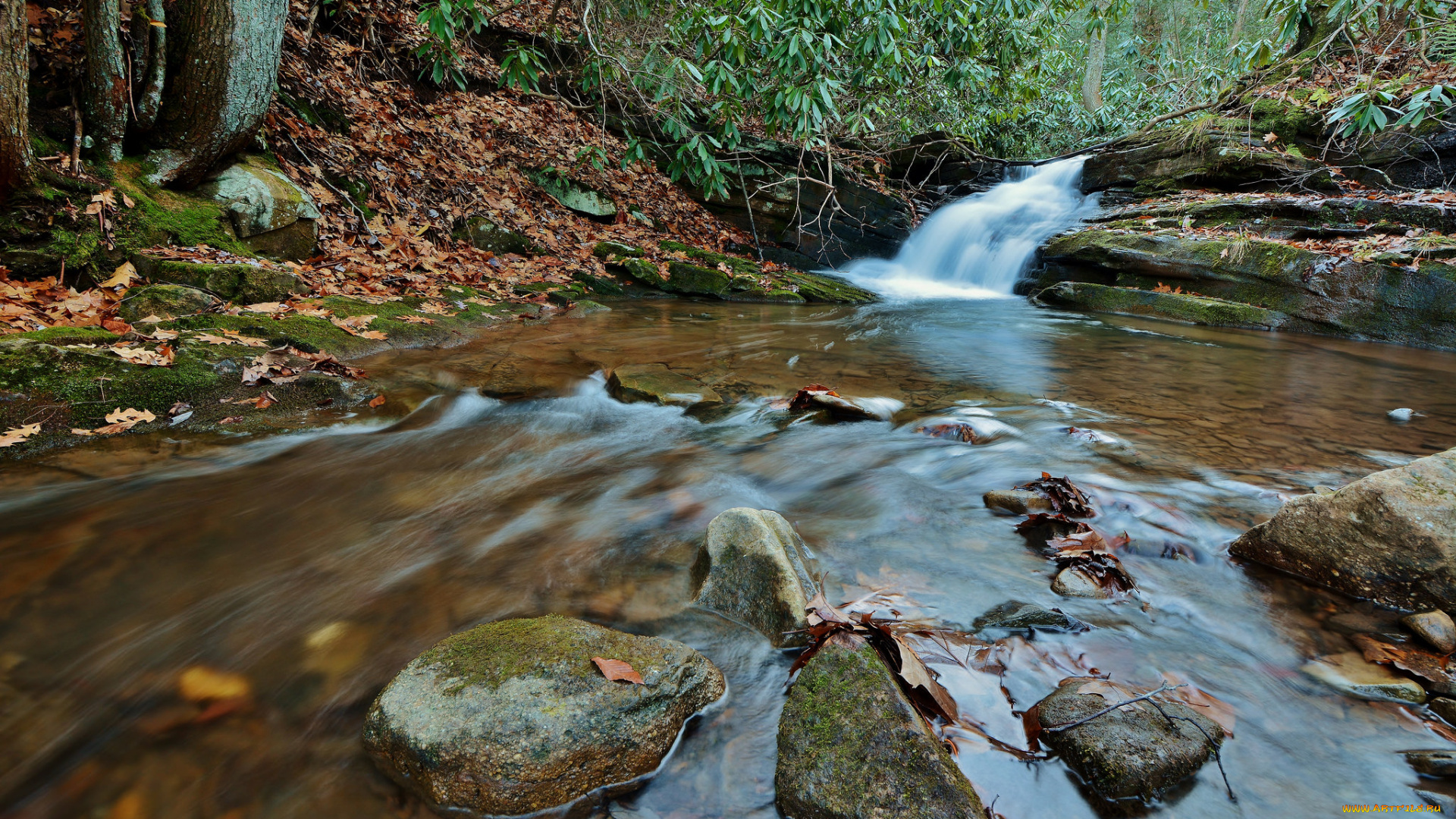 природа, водопады, autumn, waterfall, осень, листья, вода, поток, leaves, water, stream, водопад