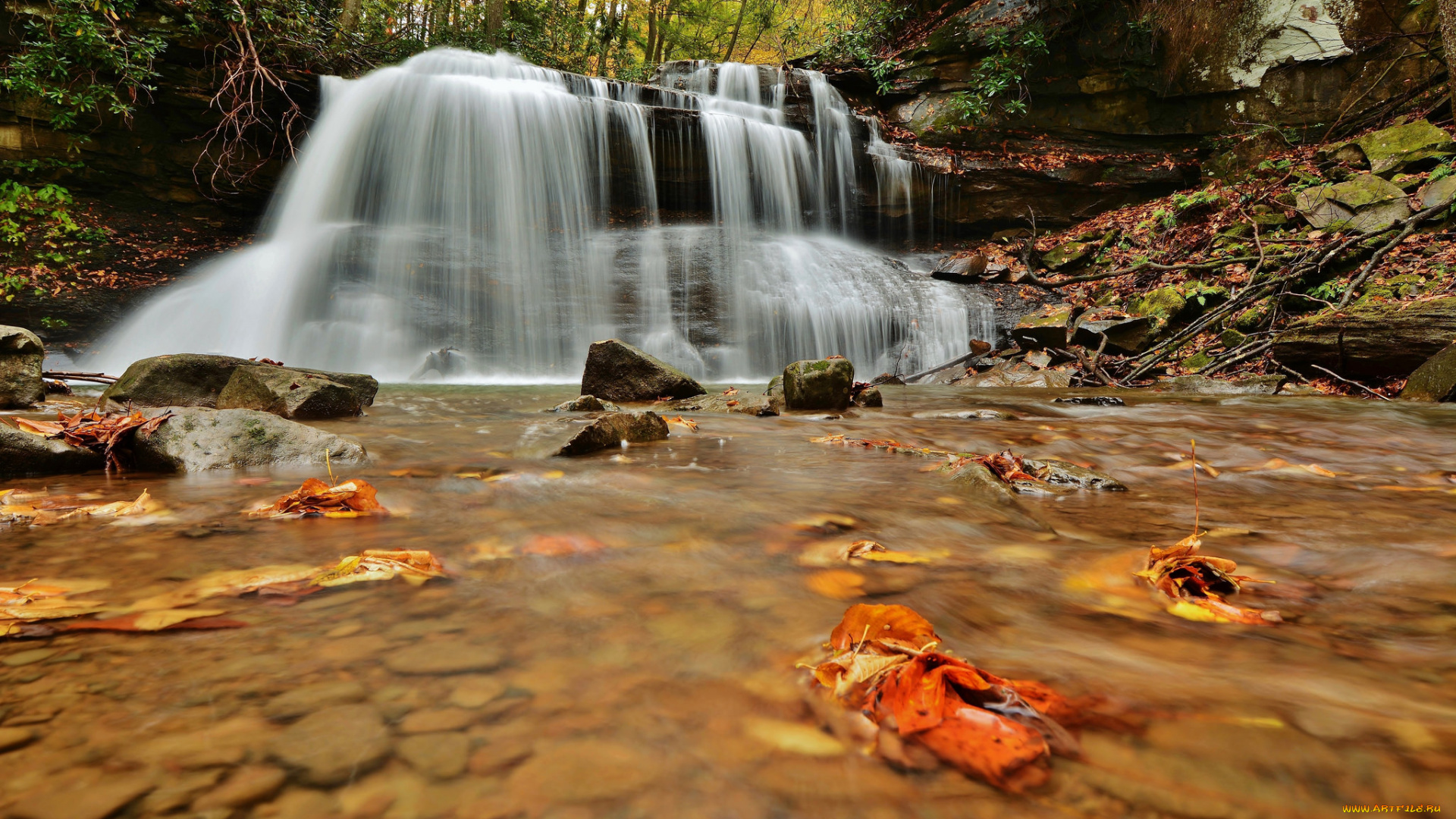 природа, водопады, leaves, water, stream, waterfall, осень, листья, вода, поток, водопад, autumn
