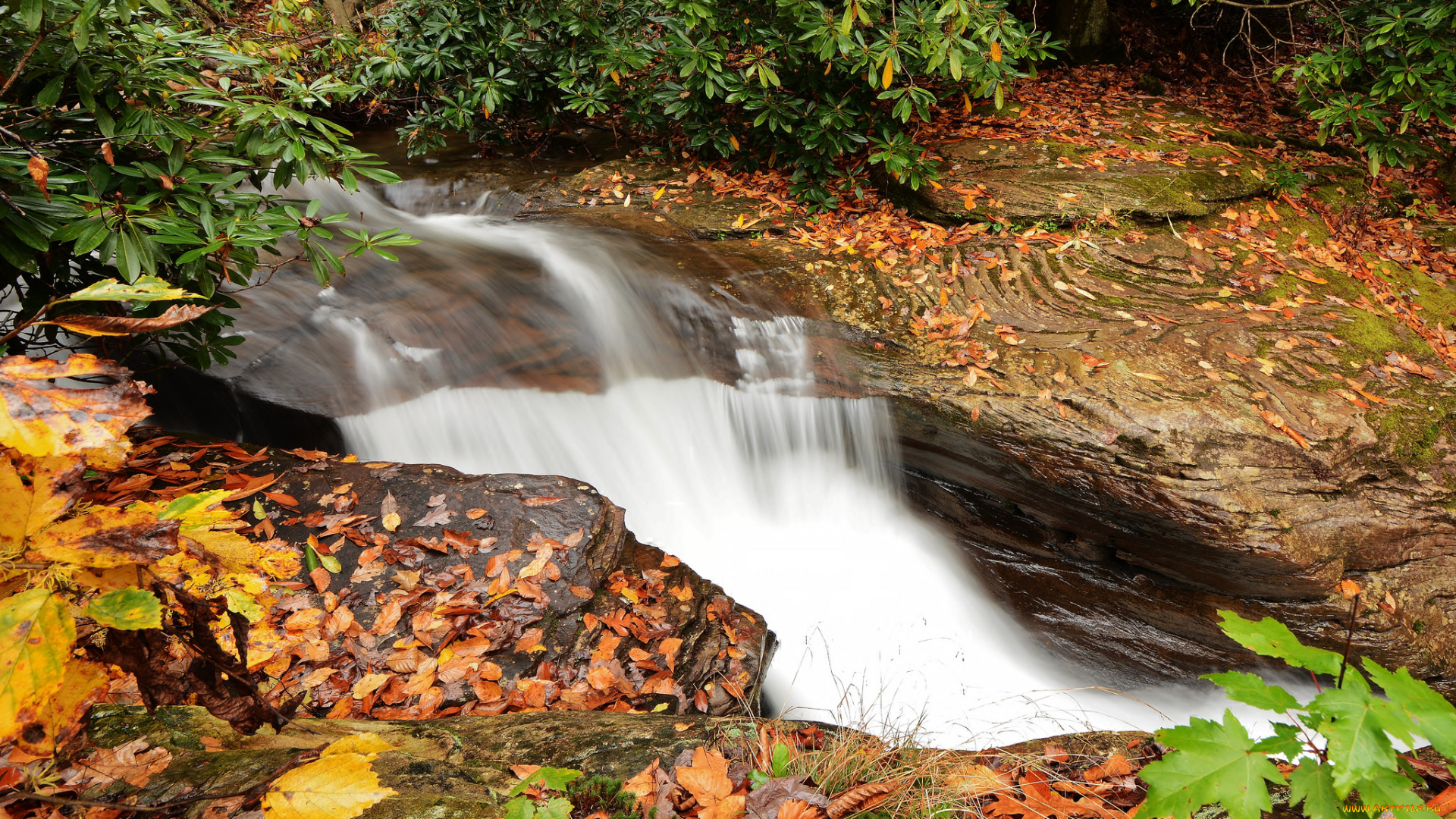 природа, водопады, водопад, stream, waterfall, осень, листья, вода, поток, autumn, leaves, water