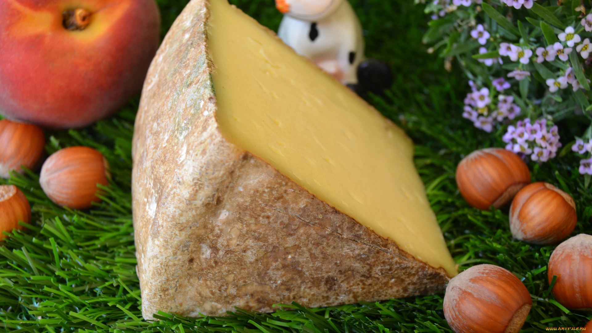 tomme, de, cerdanya, еда, сырные, изделия, сыр