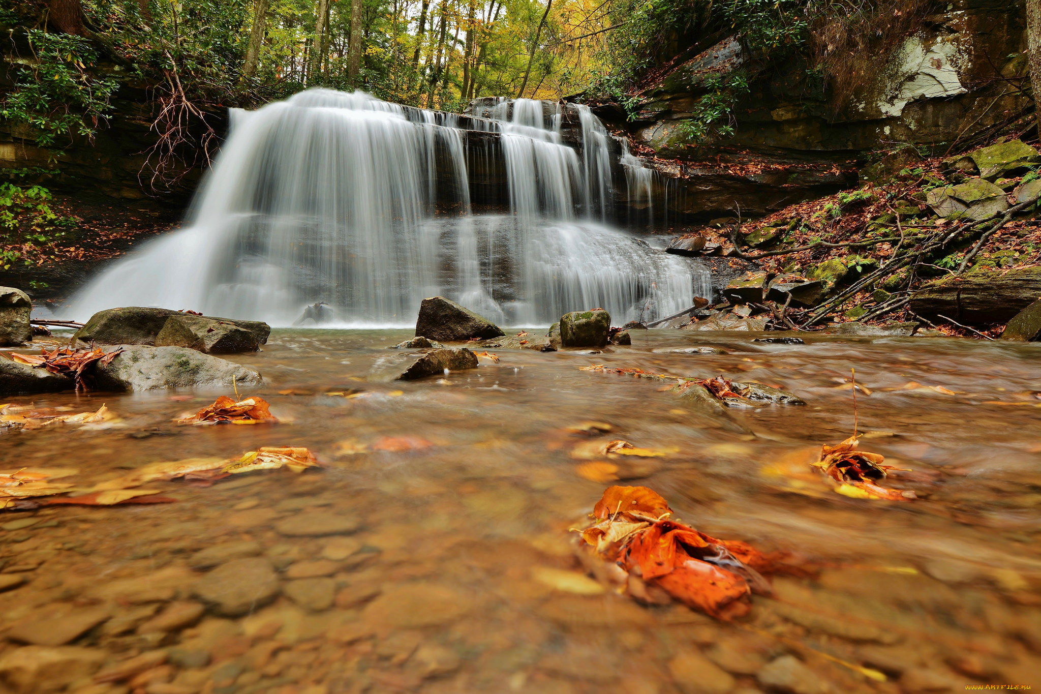 природа, водопады, leaves, water, stream, waterfall, осень, листья, вода, поток, водопад, autumn