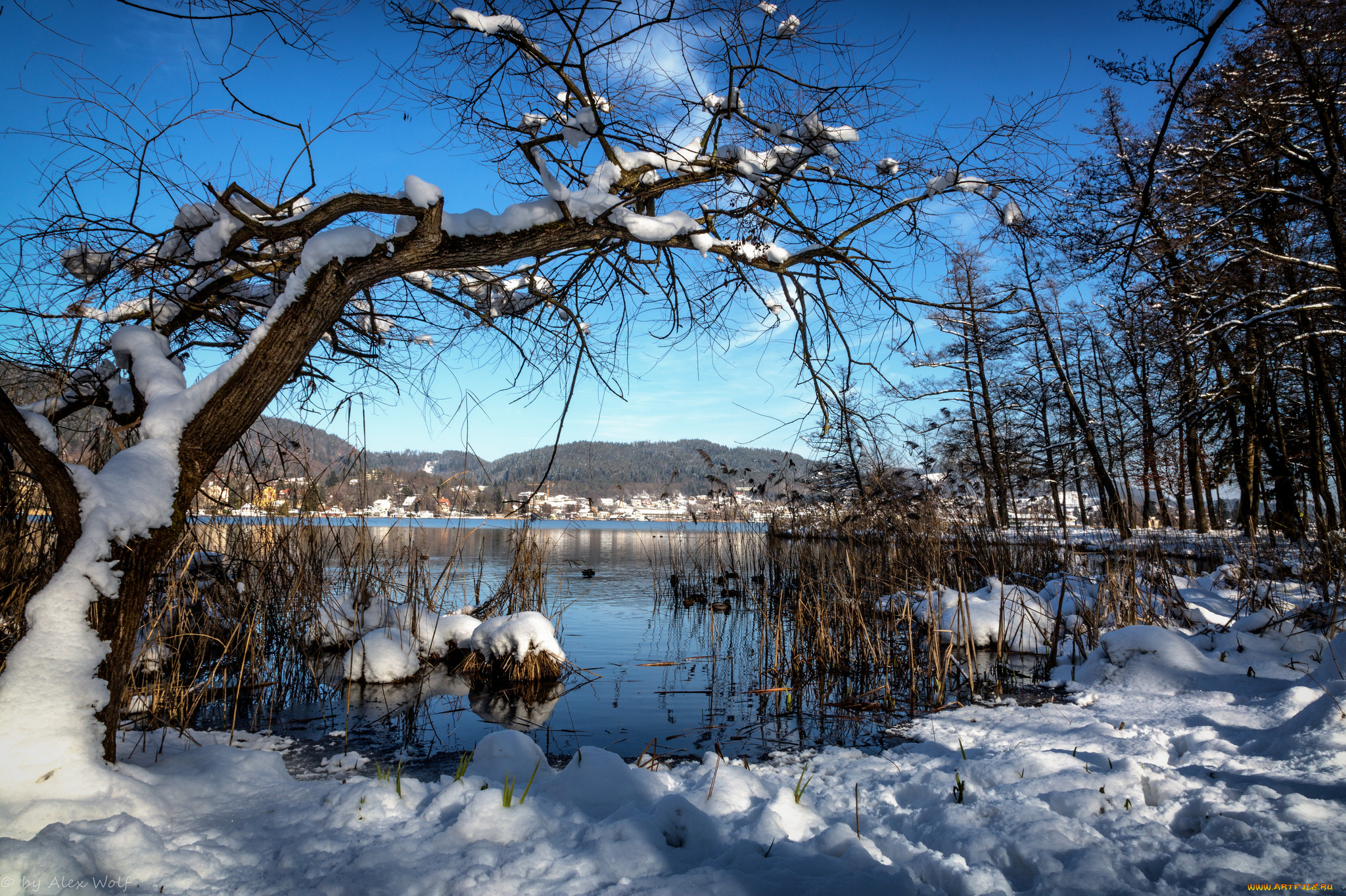 природа, зима, река, снег