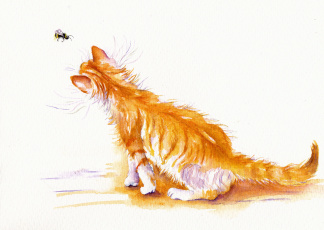 Картинка рисованное животные +коты кот акварель пчёлка кошка