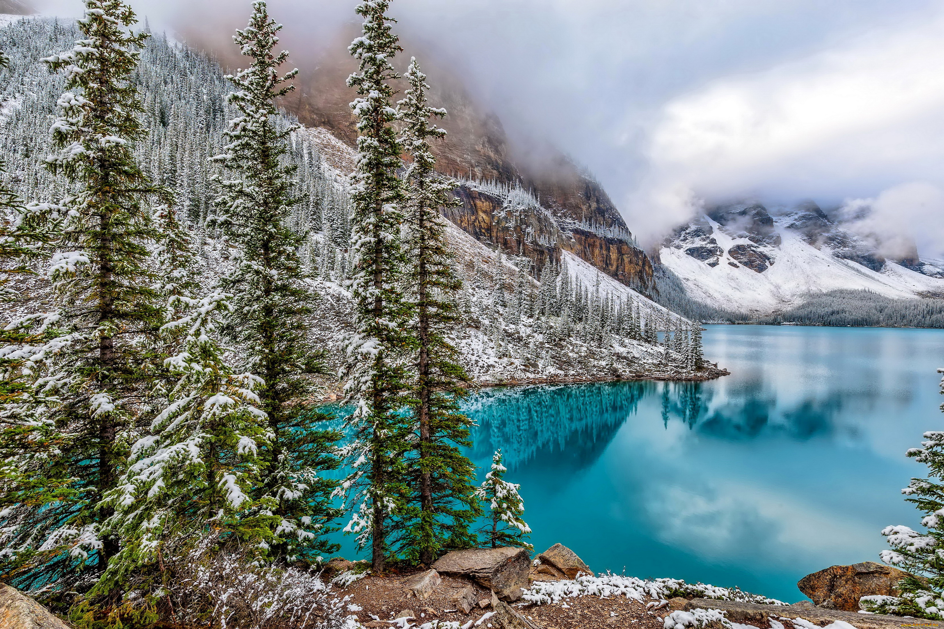 moraine, lake, канада, природа, зима, горы, озеро, lake, moraine, ели, парк, банф