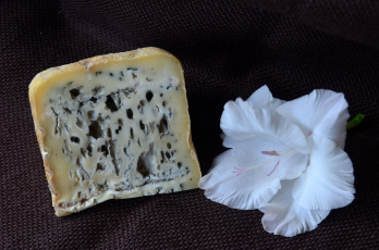 Картинка blau+de+b& 250 fala+montbru еда сырные+изделия сыр