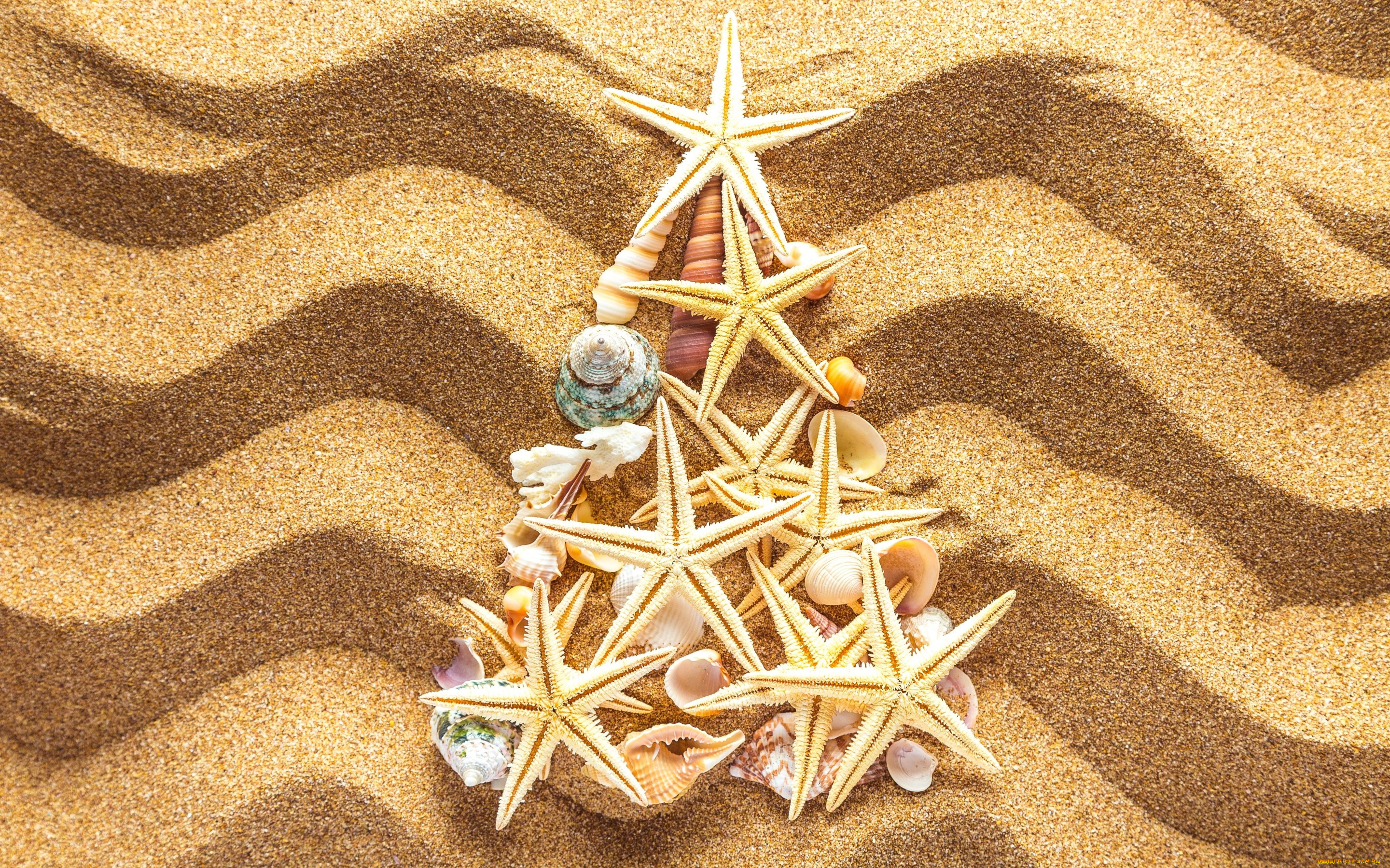 разное, ракушки, , кораллы, , декоративные, и, spa-камни, елка, украшения, песок, новый, год, tree, beach, sand, seashells, christmas