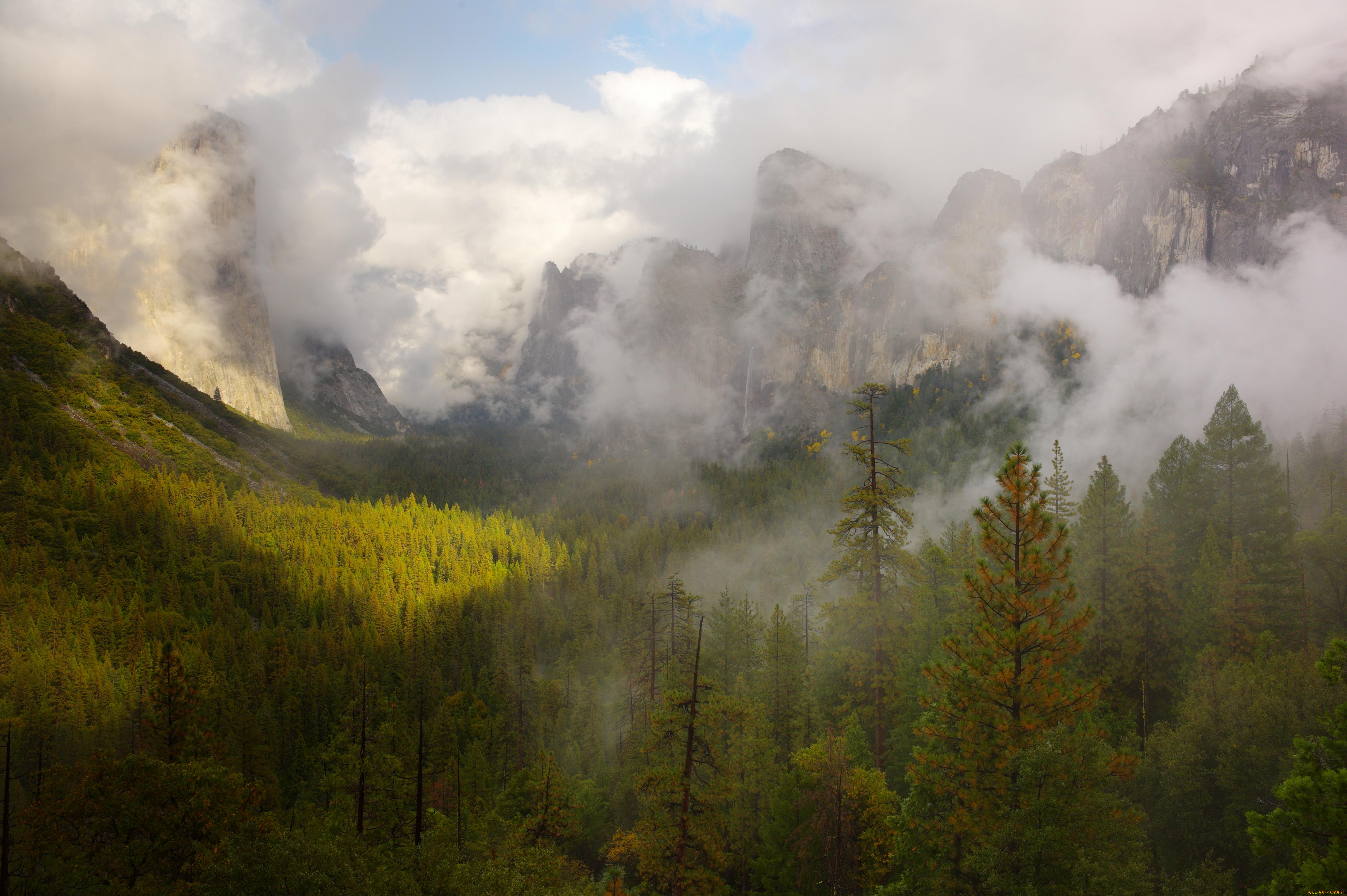природа, горы, леса, туман