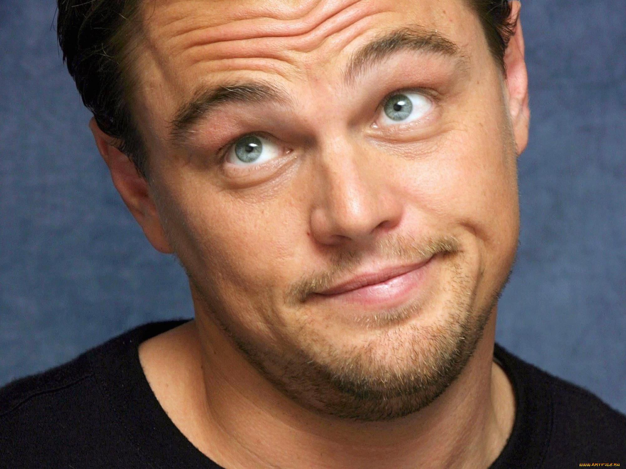 мужчины, leonardo, dicaprio, актер, лицо, гримаса