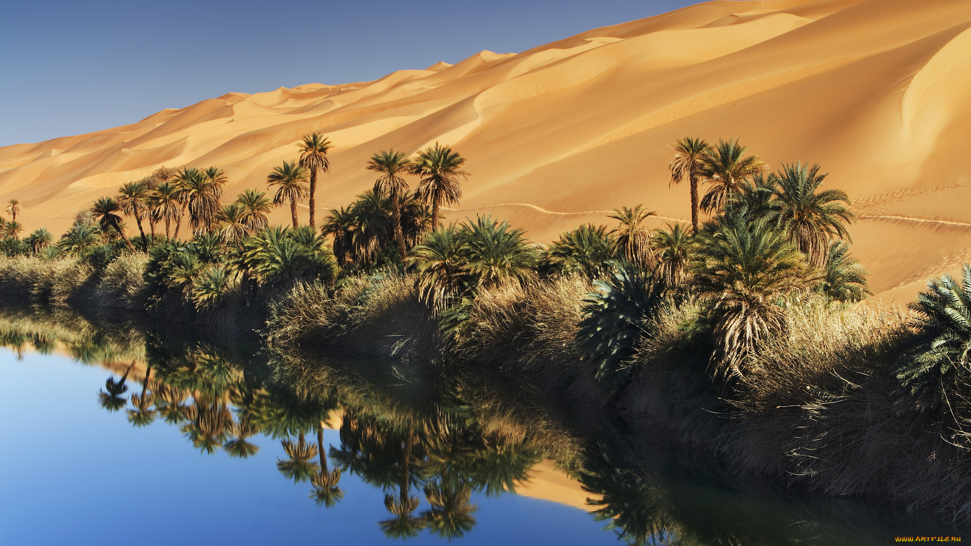 природа, пустыни, вода, песок, оазис