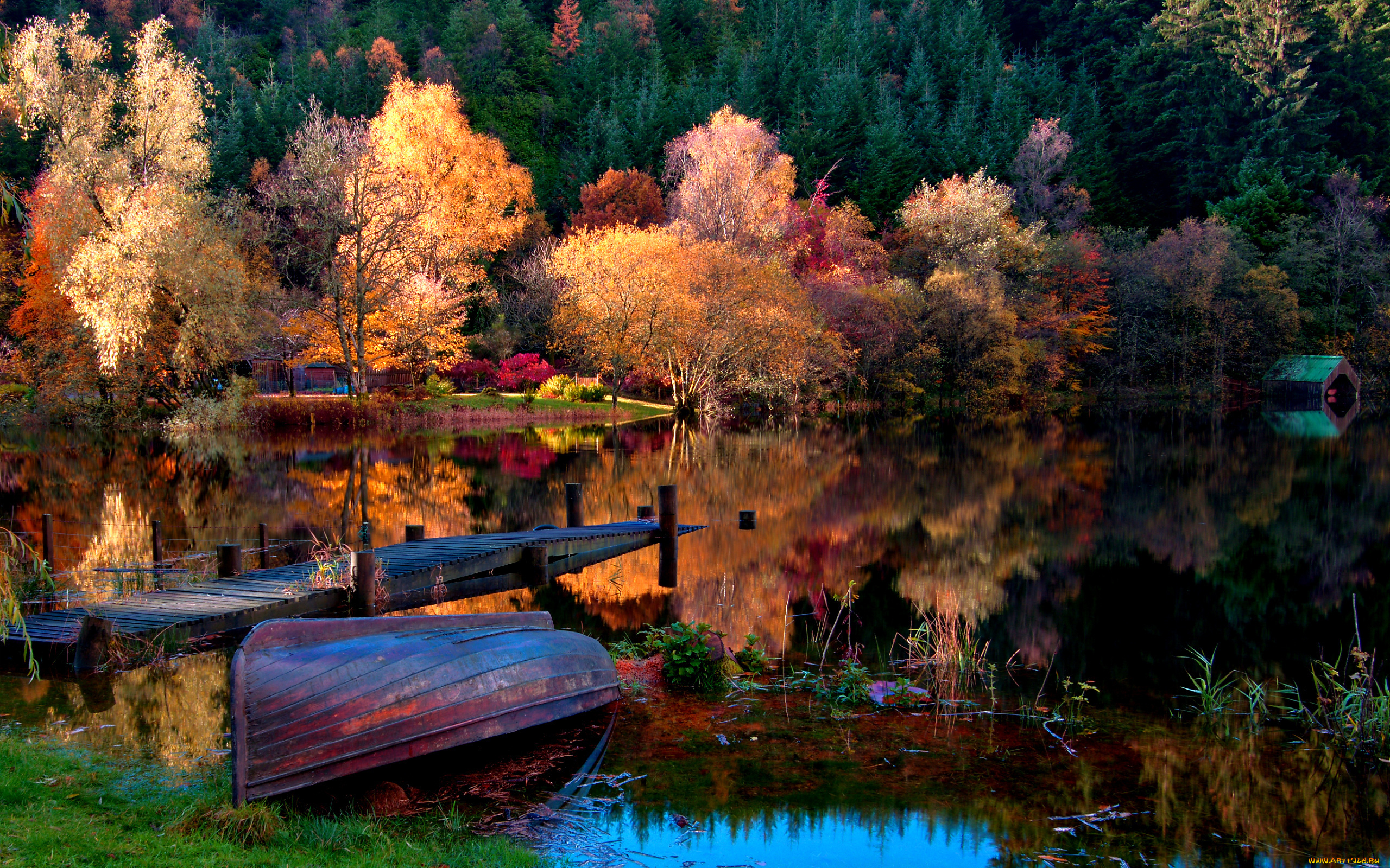 природа, пейзажи, осень, лодка