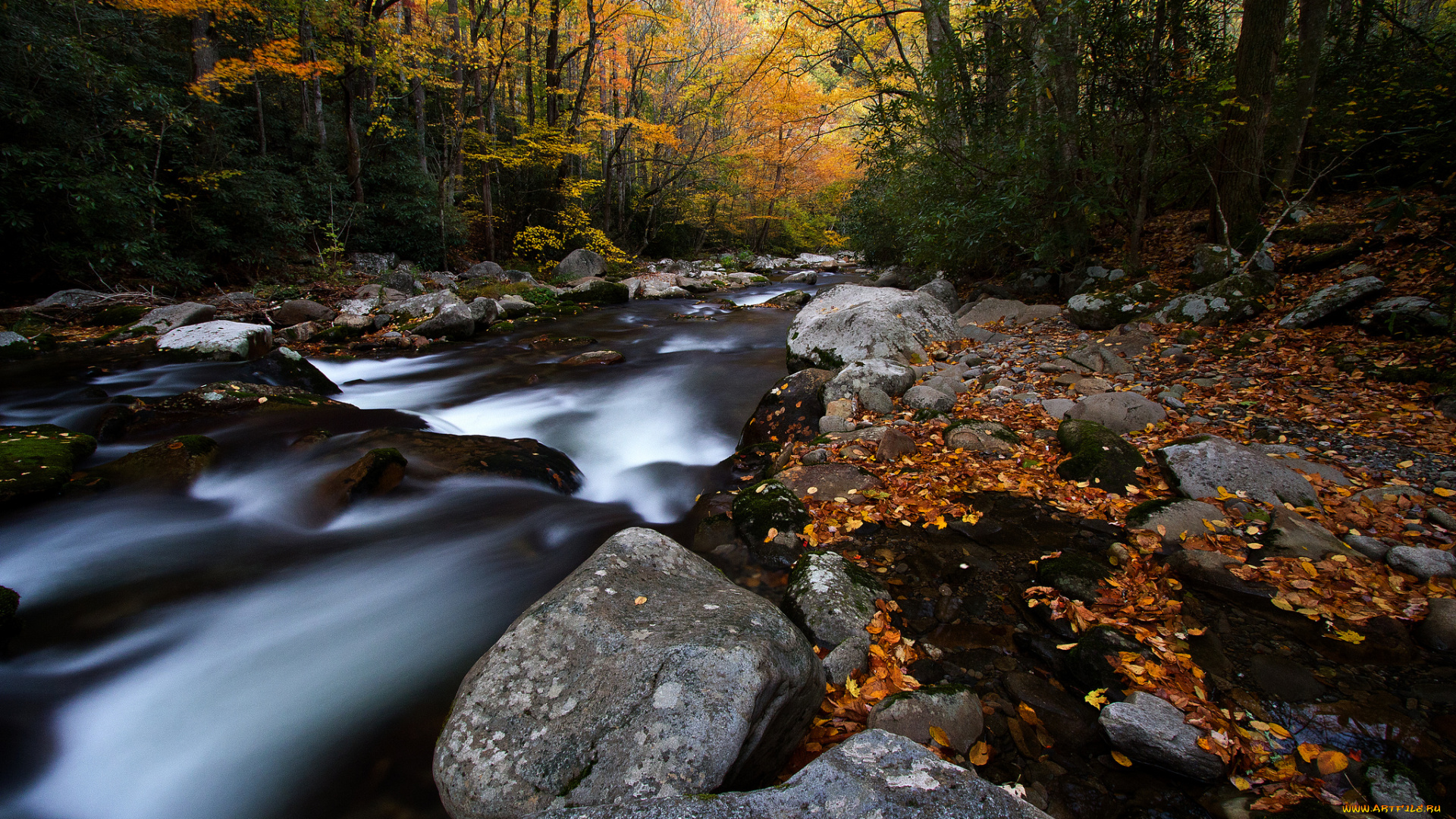big, creek, природа, реки, озера, осень, лес, краски, камни, река