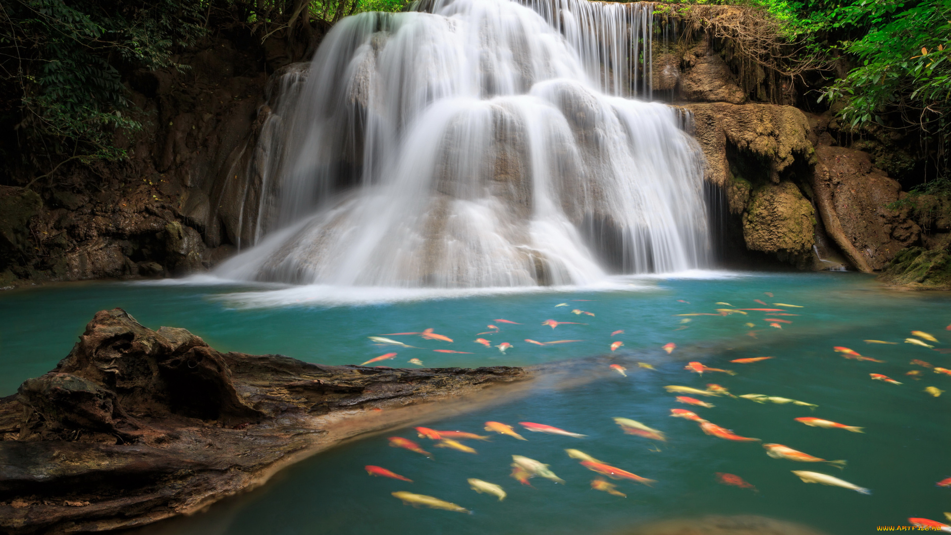 природа, водопады, водопад, рыбы, таиланд