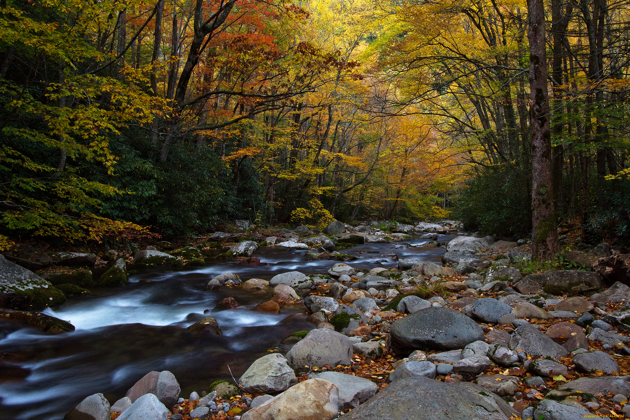 big, creek, природа, реки, озера, камни, река, краски, лес, осень
