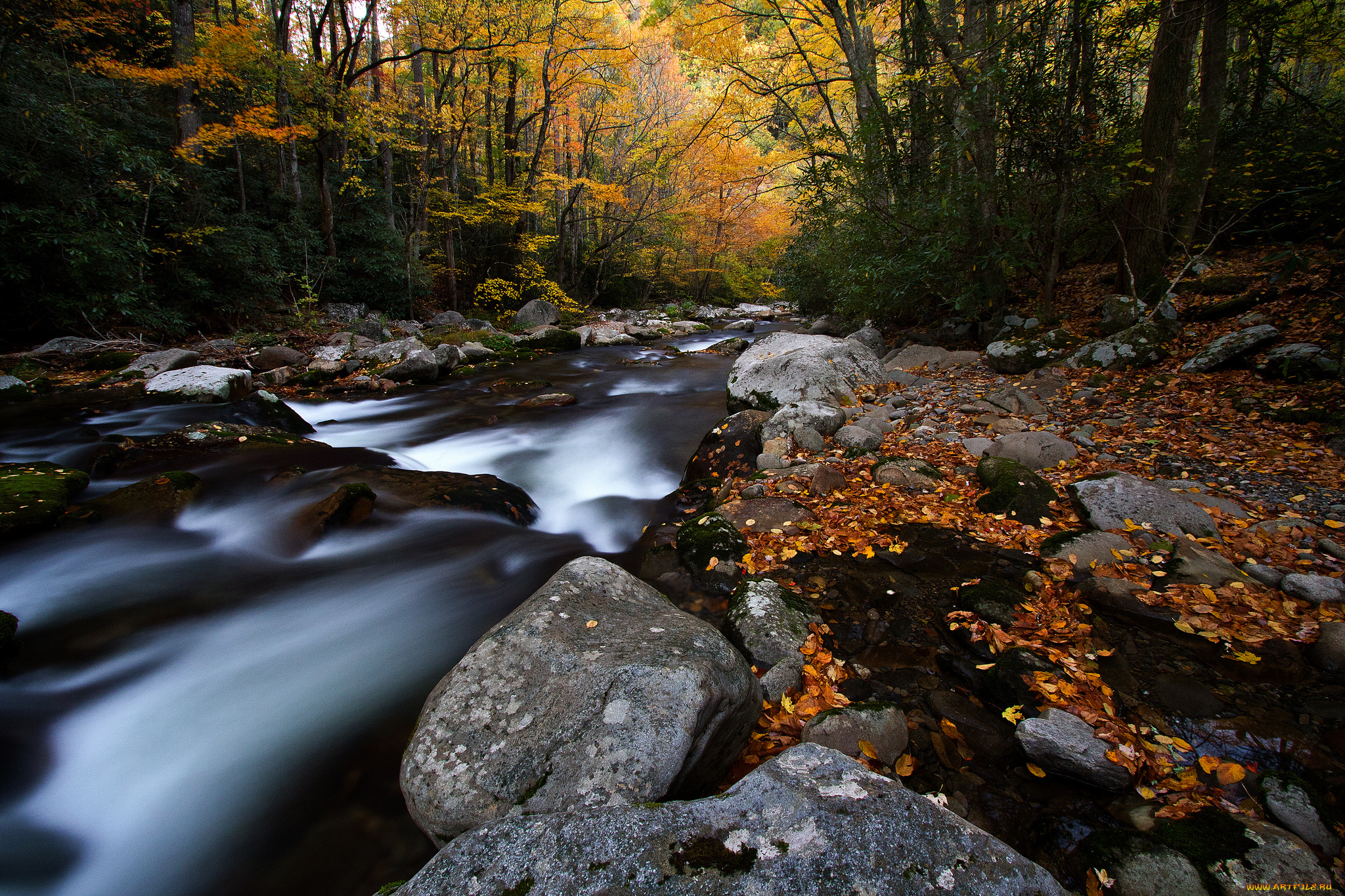big, creek, природа, реки, озера, осень, лес, краски, камни, река