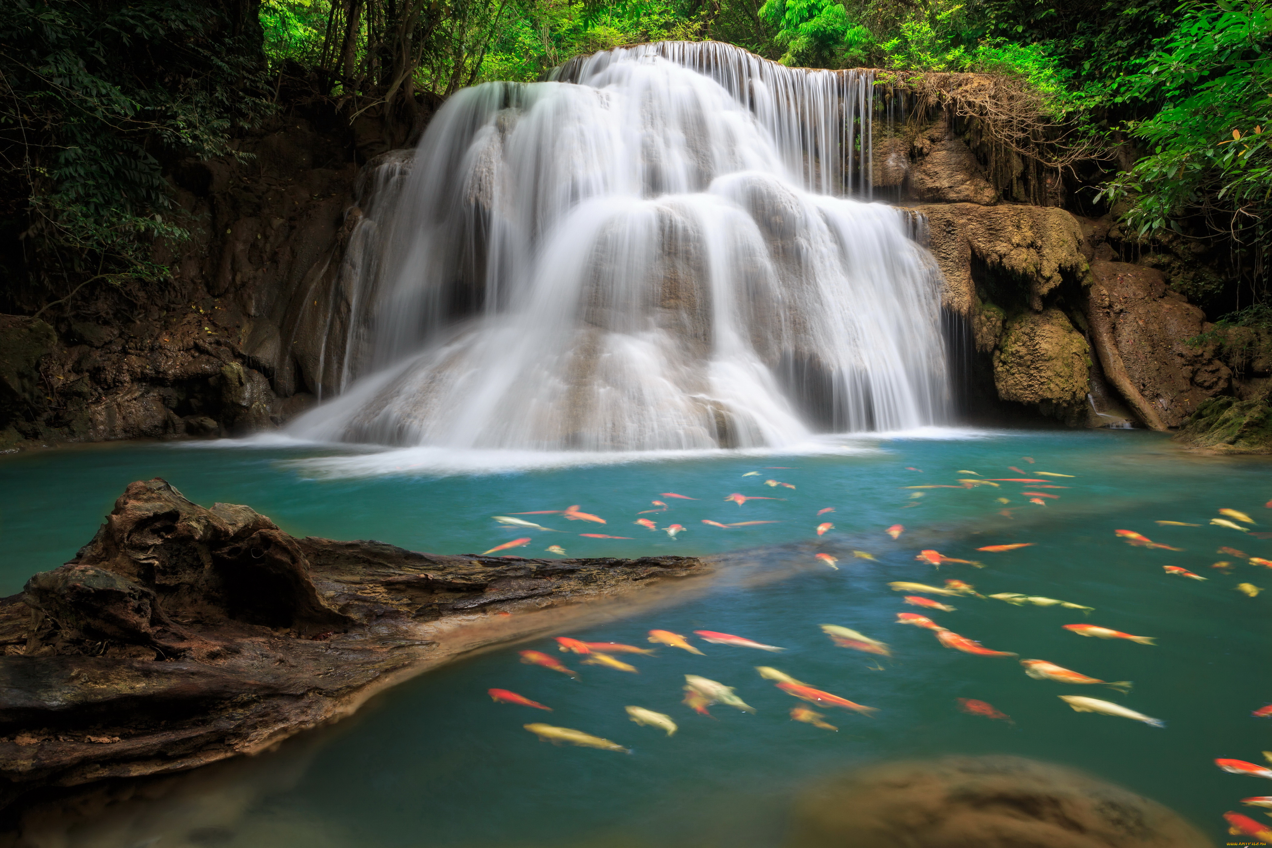 природа, водопады, водопад, рыбы, таиланд