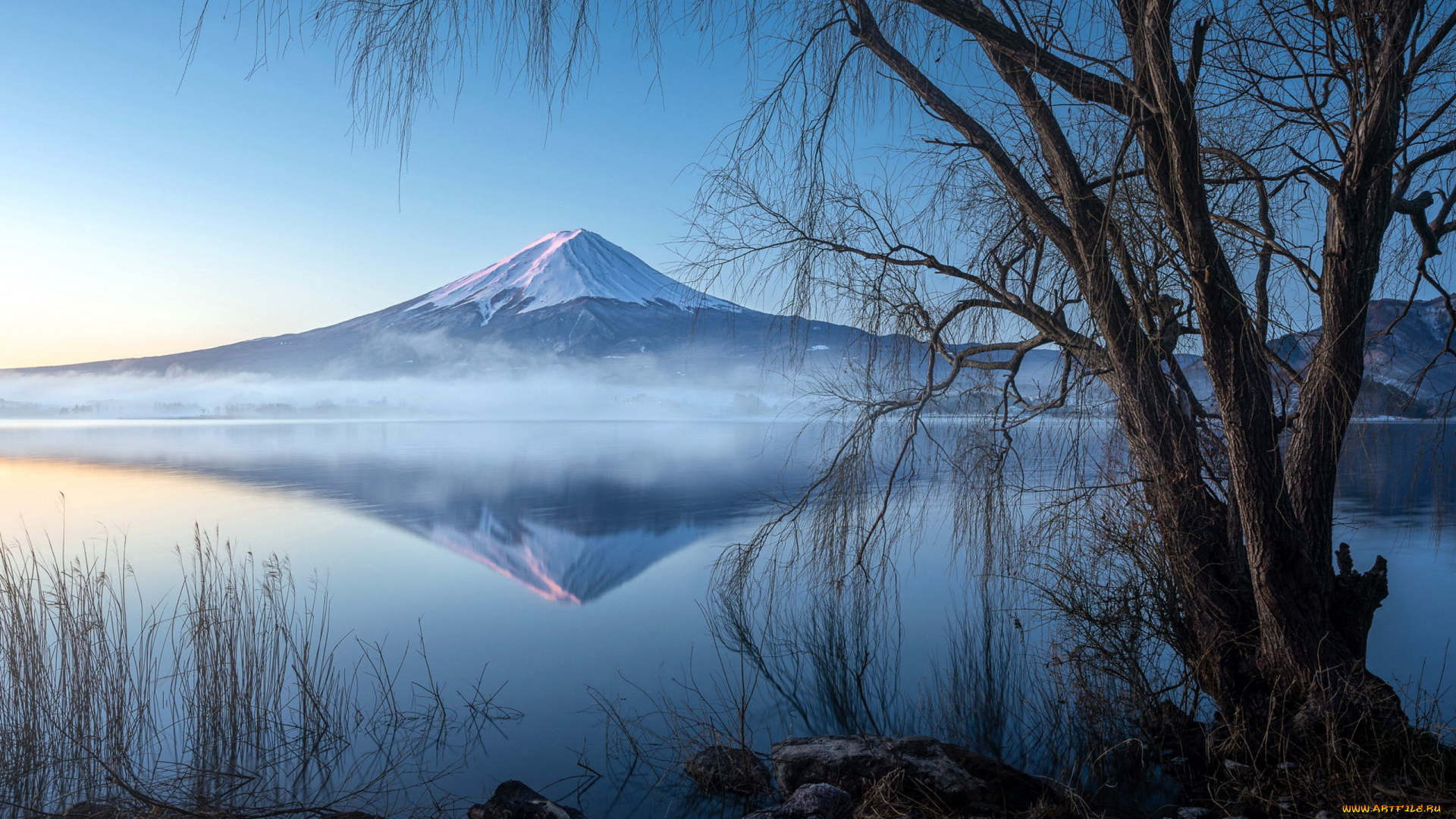 mount, fuji, lake, kawagushi, japan, природа, реки, озера, mount, fuji, lake, kawagushi