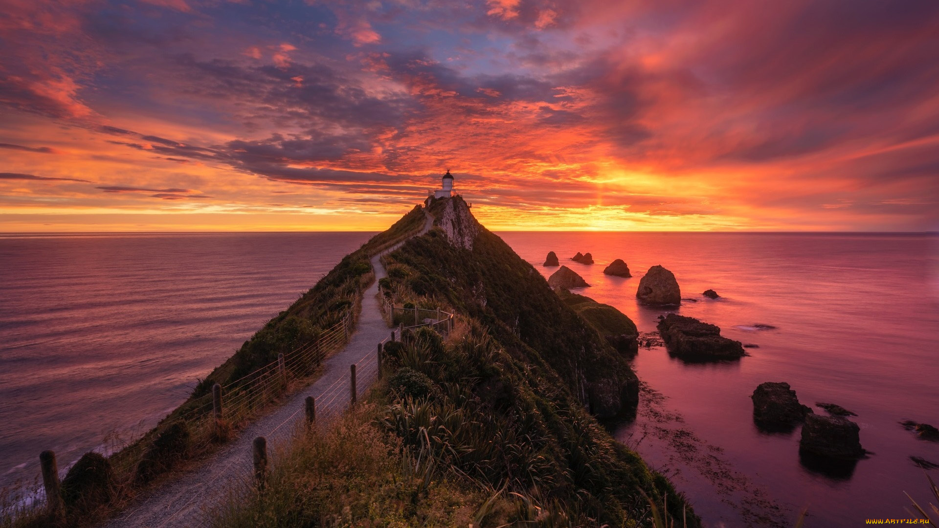 nugget, point, lighthouse, new, zealand, природа, маяки, nugget, point, lighthouse, new, zealand