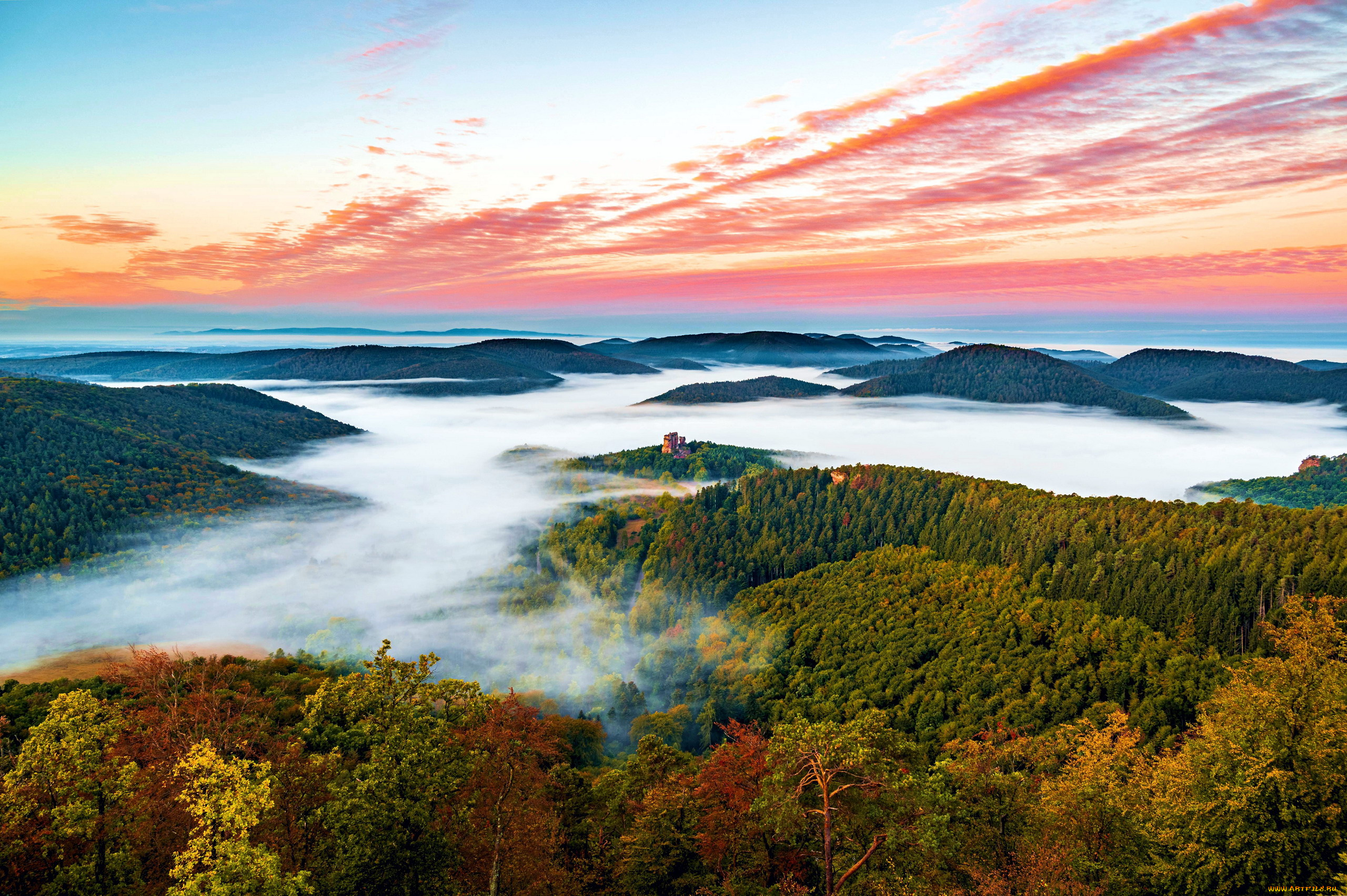 palatinate, forest, germany, природа, лес, palatinate, forest