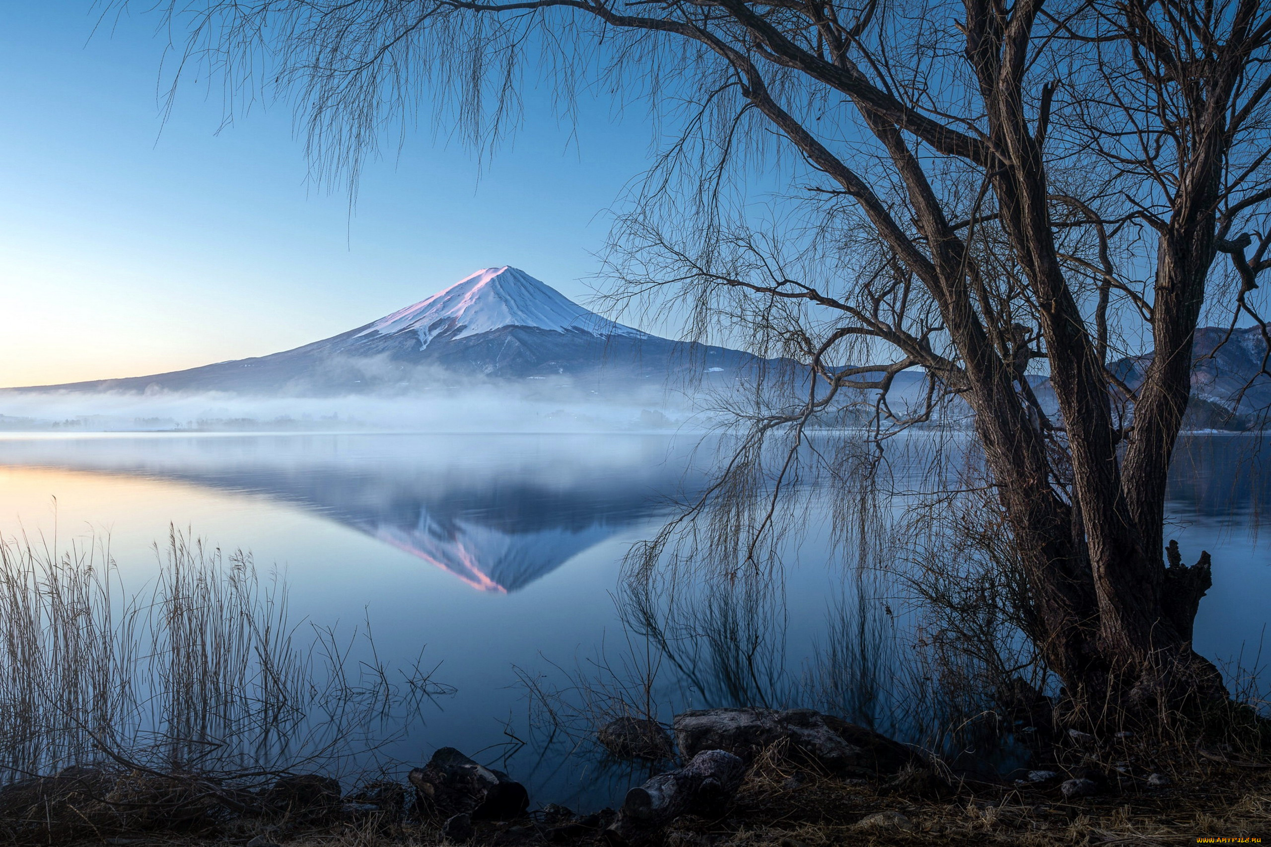 mount, fuji, lake, kawagushi, japan, природа, реки, озера, mount, fuji, lake, kawagushi