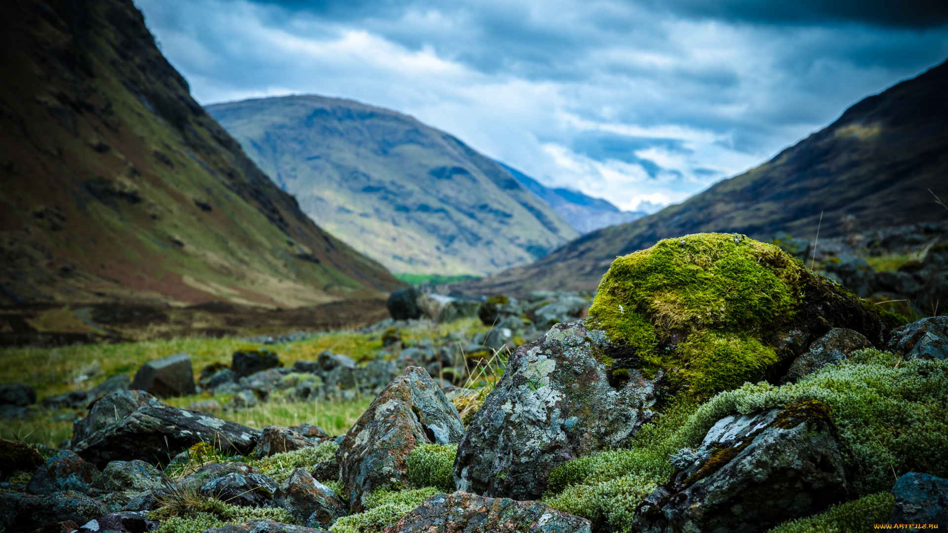 природа, горы, шотландия, камни, scotland, мох