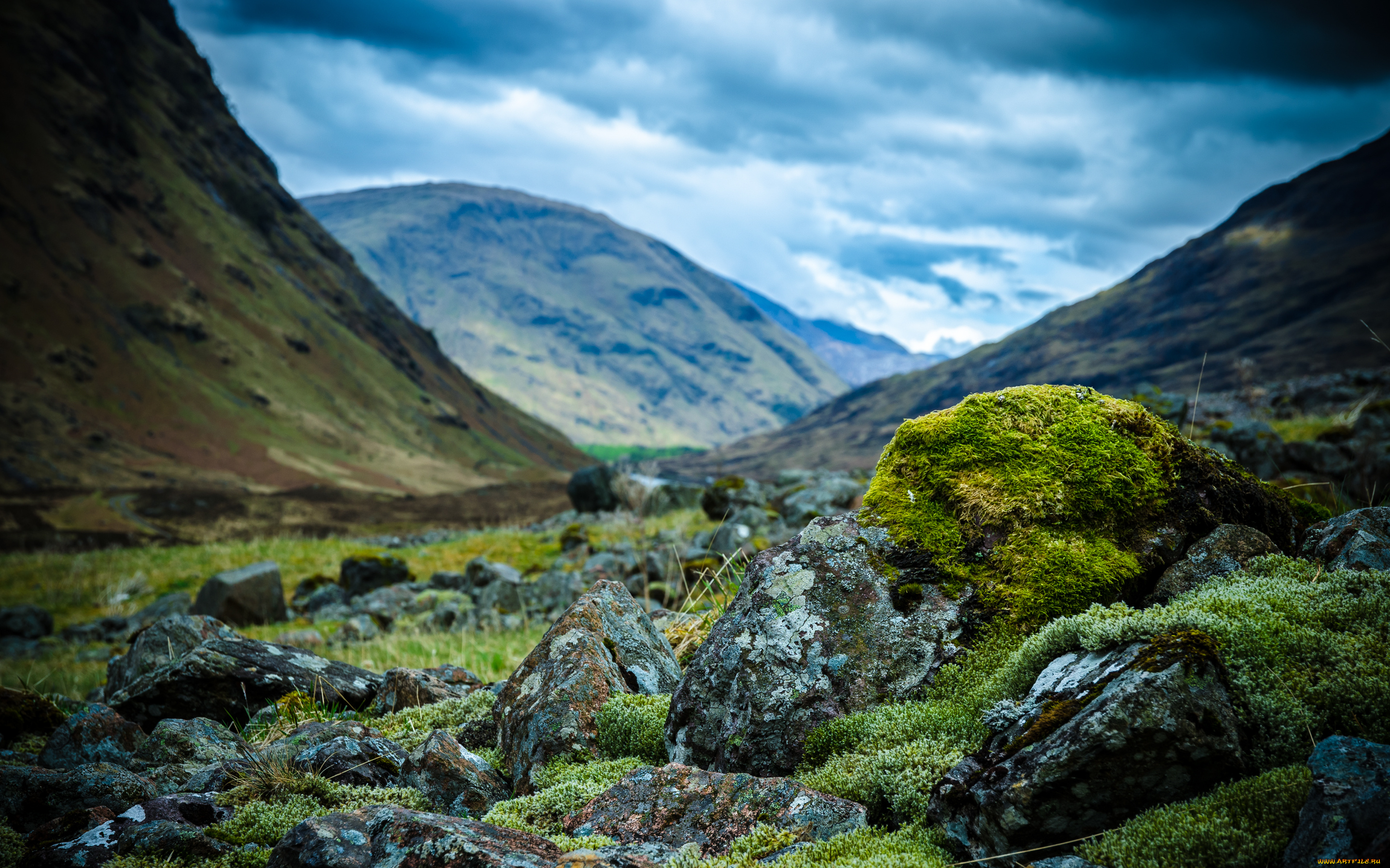 природа, горы, шотландия, камни, scotland, мох