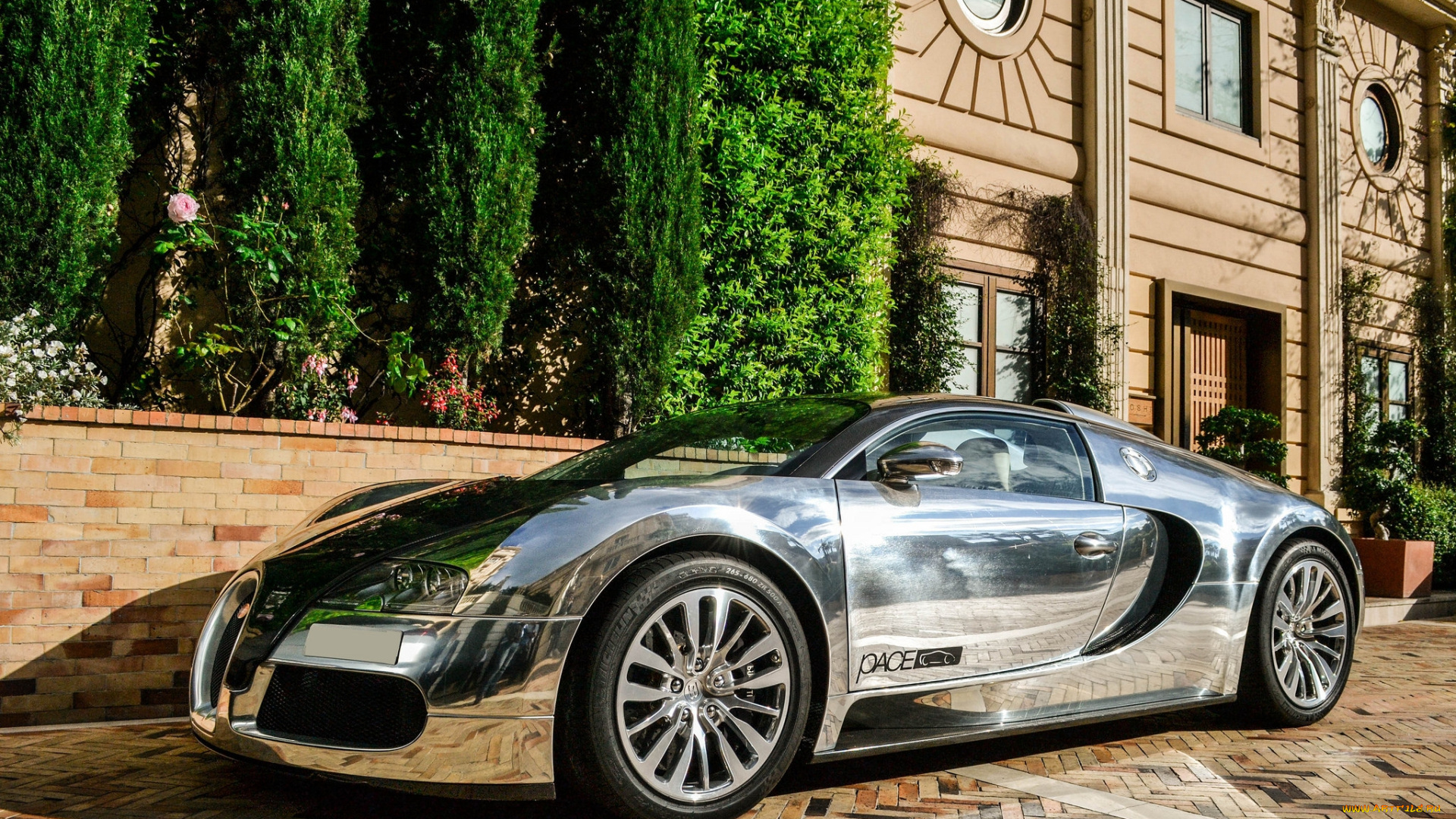 bugatti, veyron, pur, sang, автомобили, bugatti, франция, класс-люкс, спортивные, automobiles, a, s