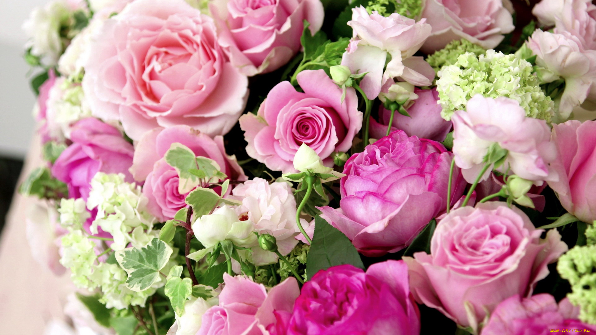 цветы, букеты, , композиции, розовый